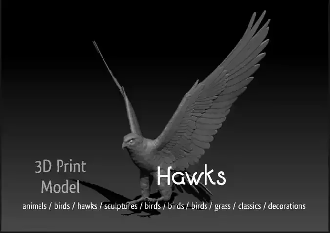 Accipiter gentilis 3D print model