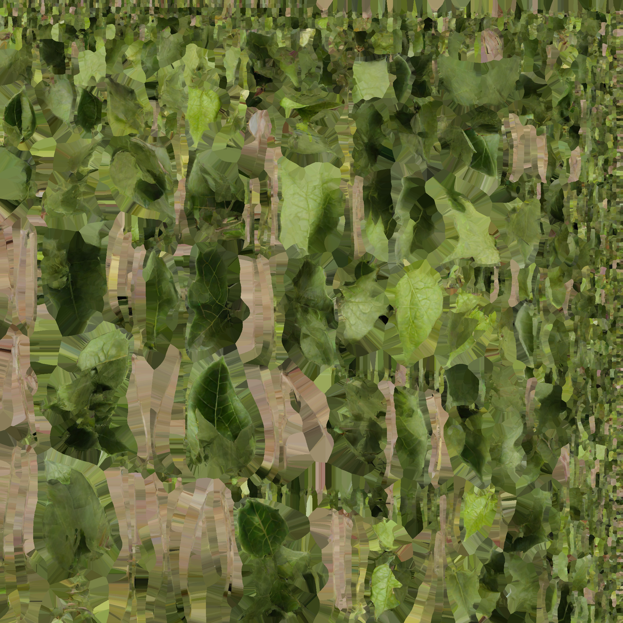 house plant 3D model_11