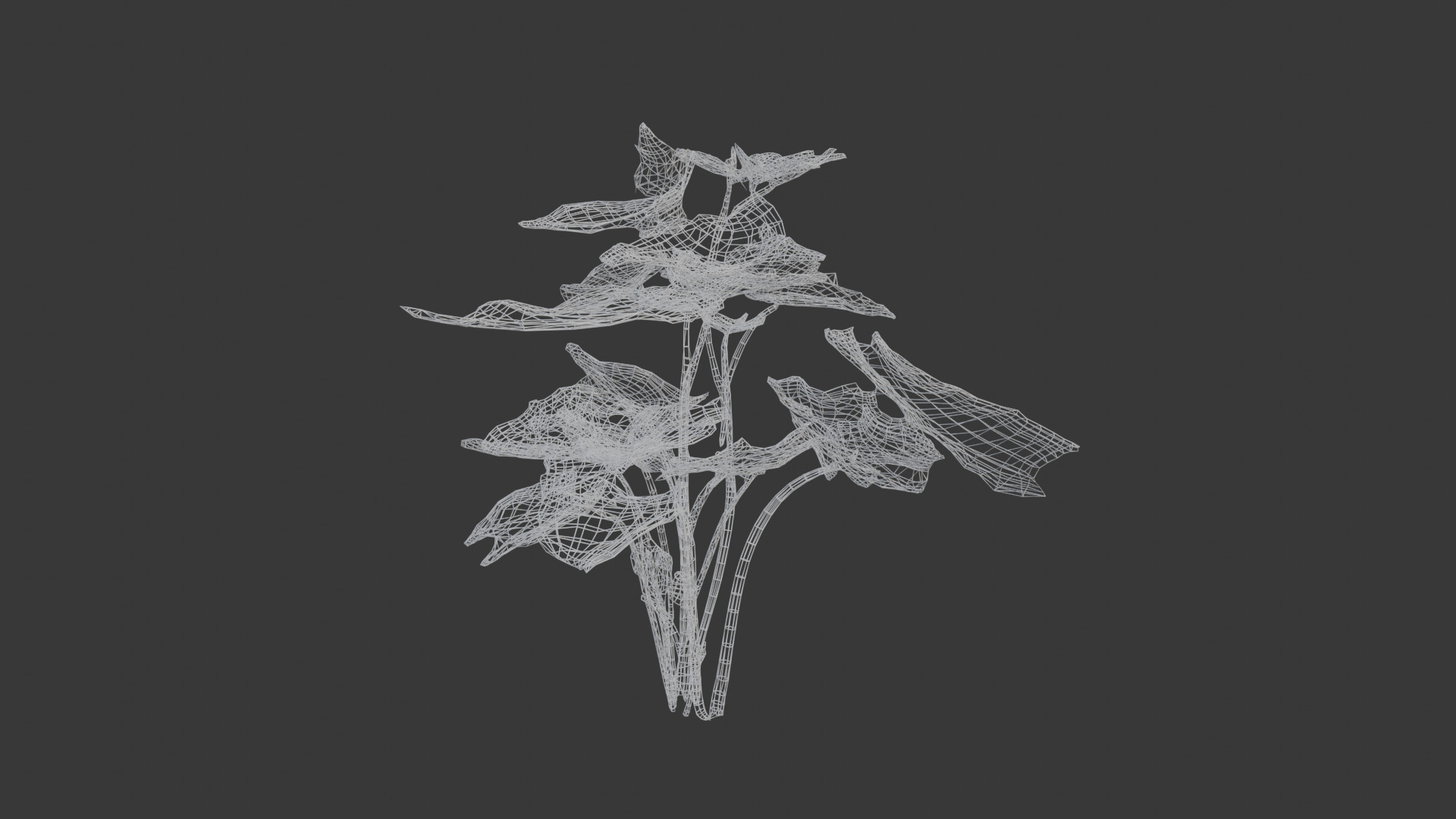 house plant 3D model_4