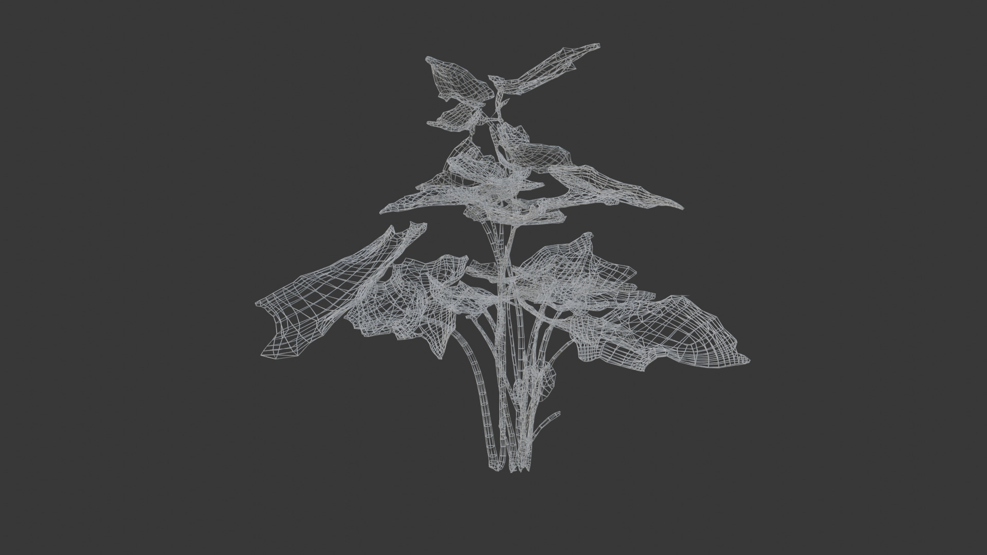 house plant 3D model_5