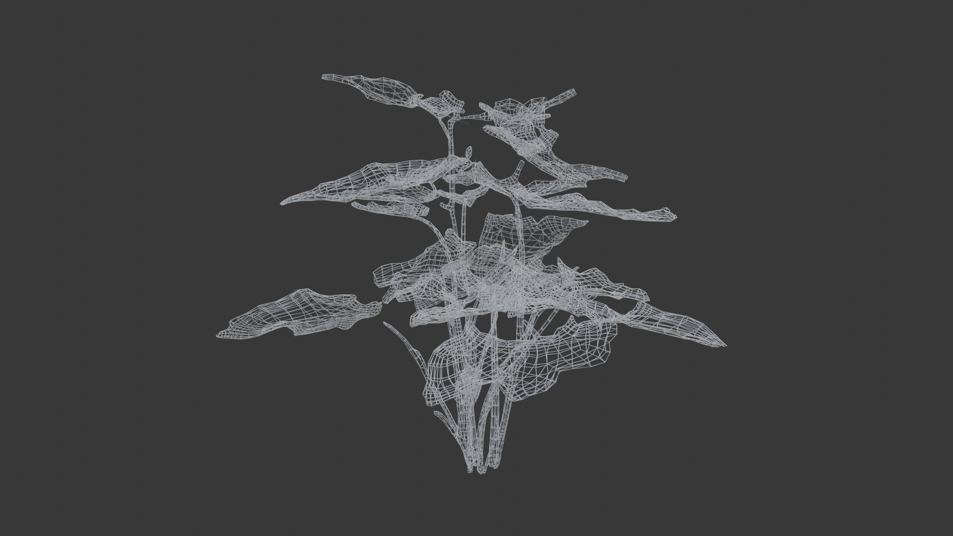 house plant 3D model_1