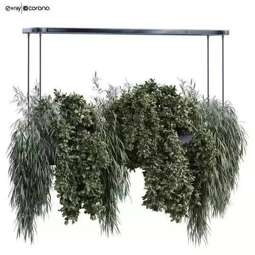 green plant in box 359