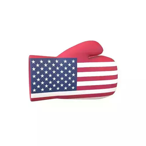 USA Country Left Boxing Glove v1 001