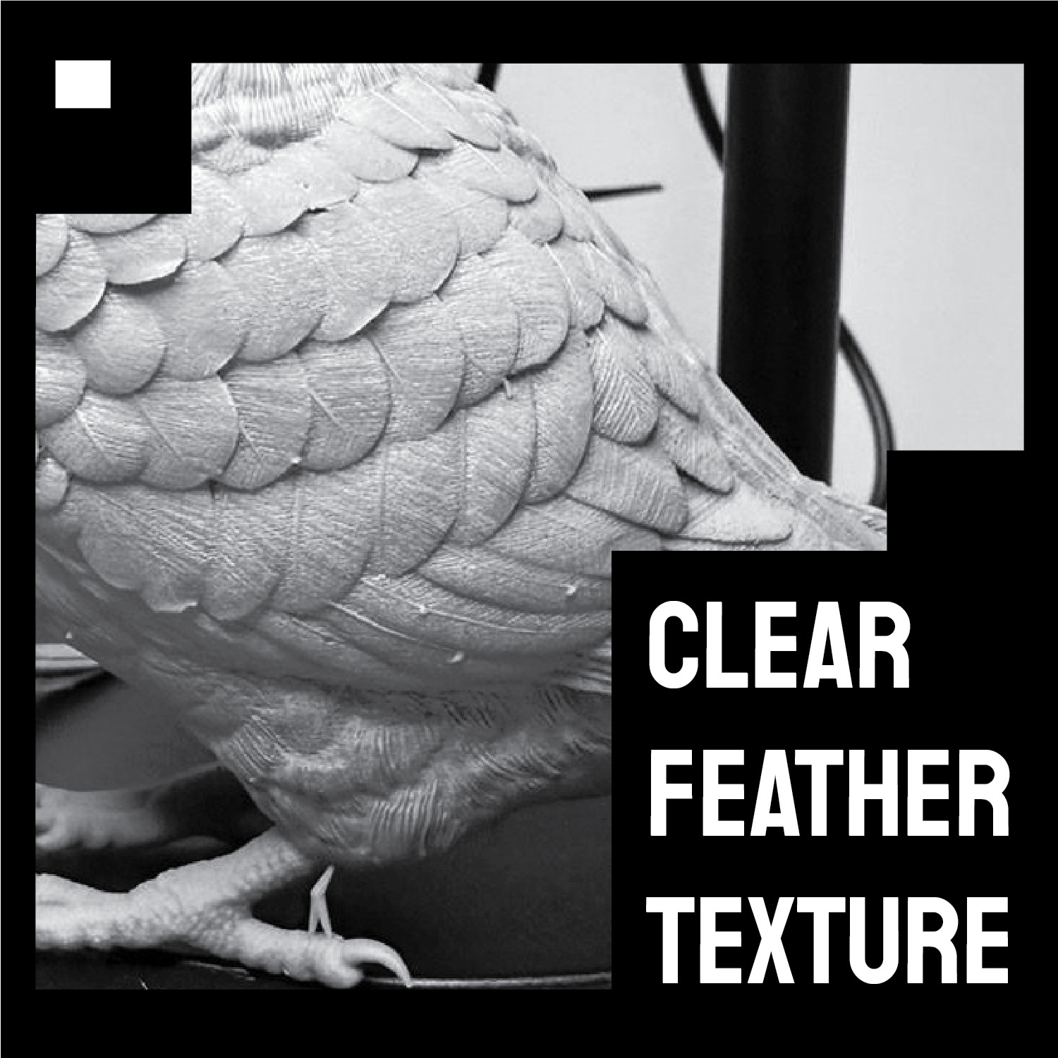 Budgie Stand version 3D print model_1