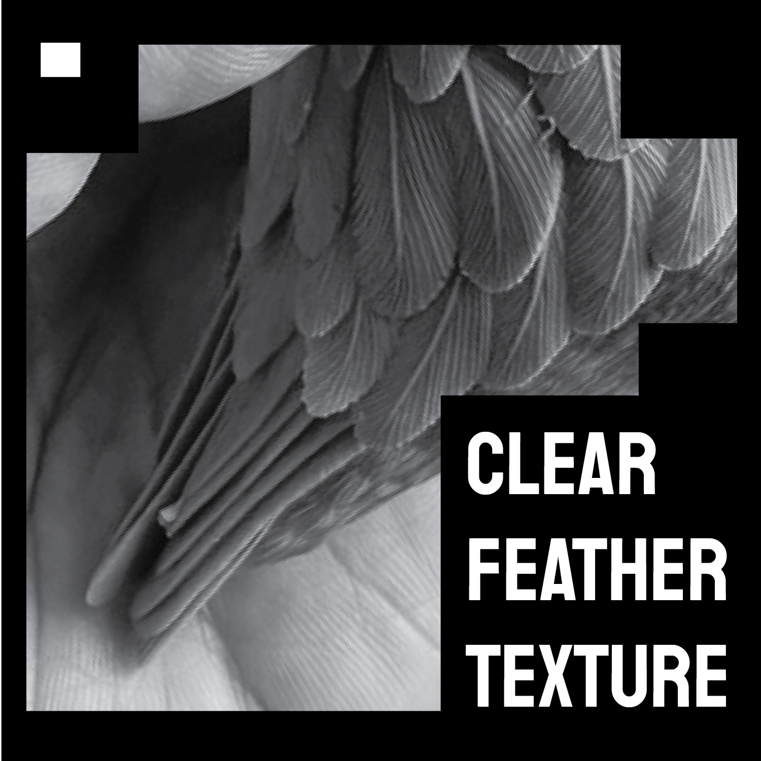 Spoon-billed sandpiper Stand Walk Bend over version 3D print model_1