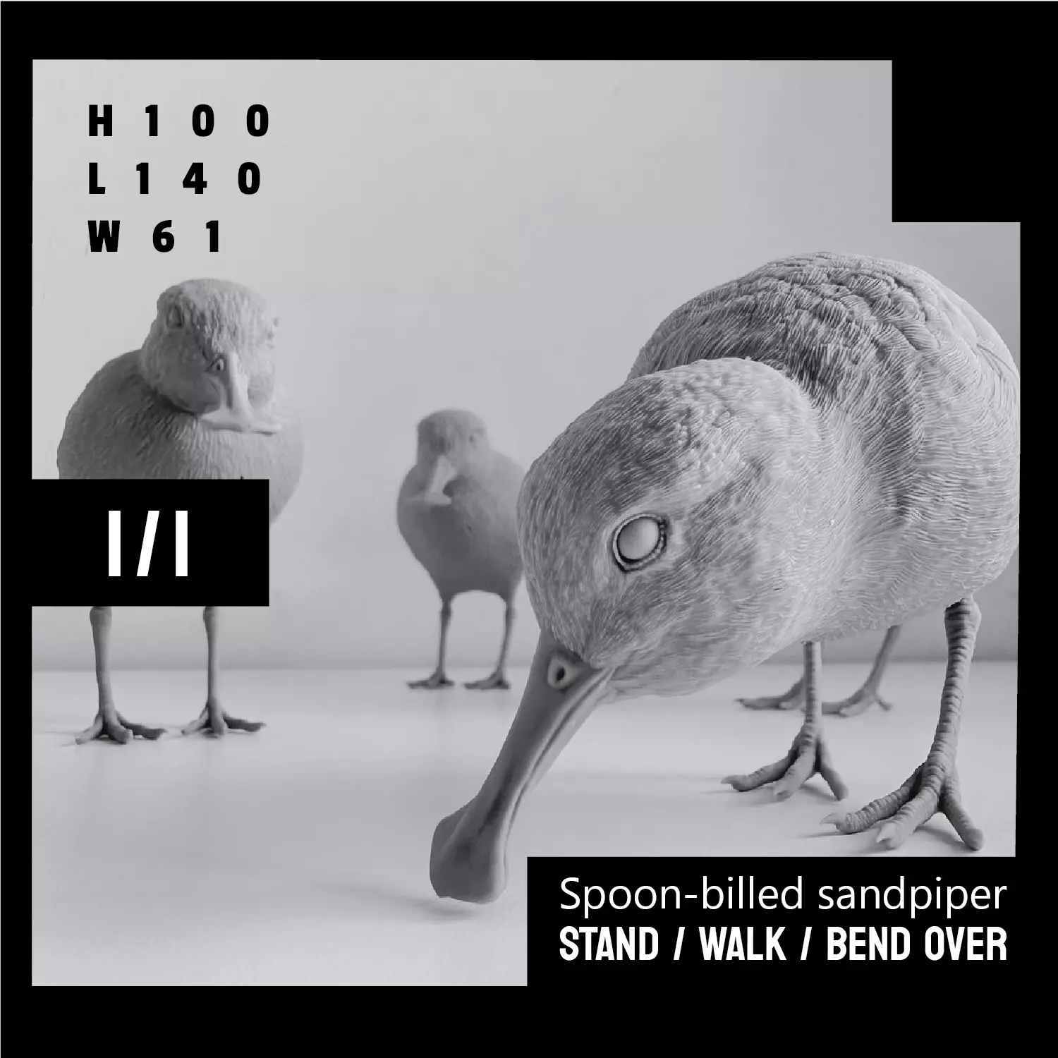 Spoon-billed sandpiper Stand Walk Bend over version 3D print model_0