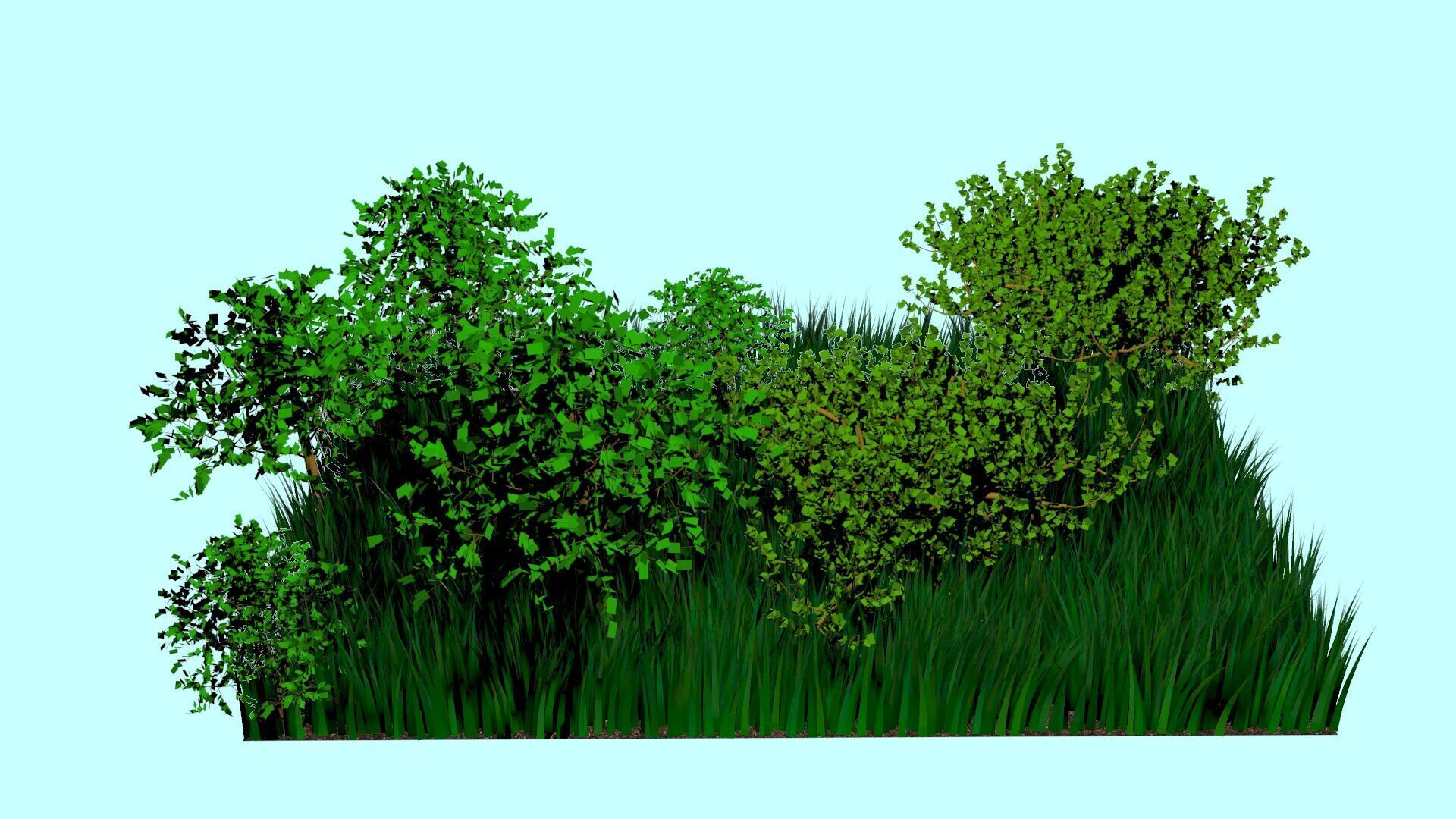 Forest 3D model_1