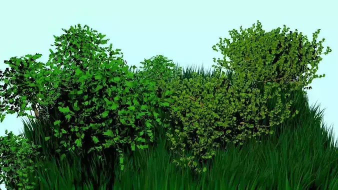 Forest 3D model