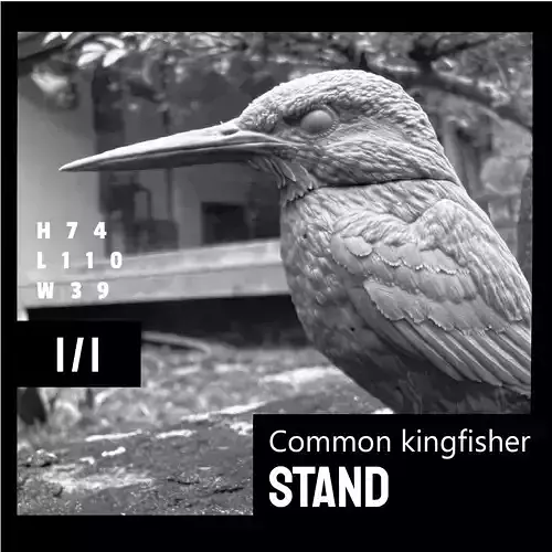 Common kingfisher Stand version 3D print model