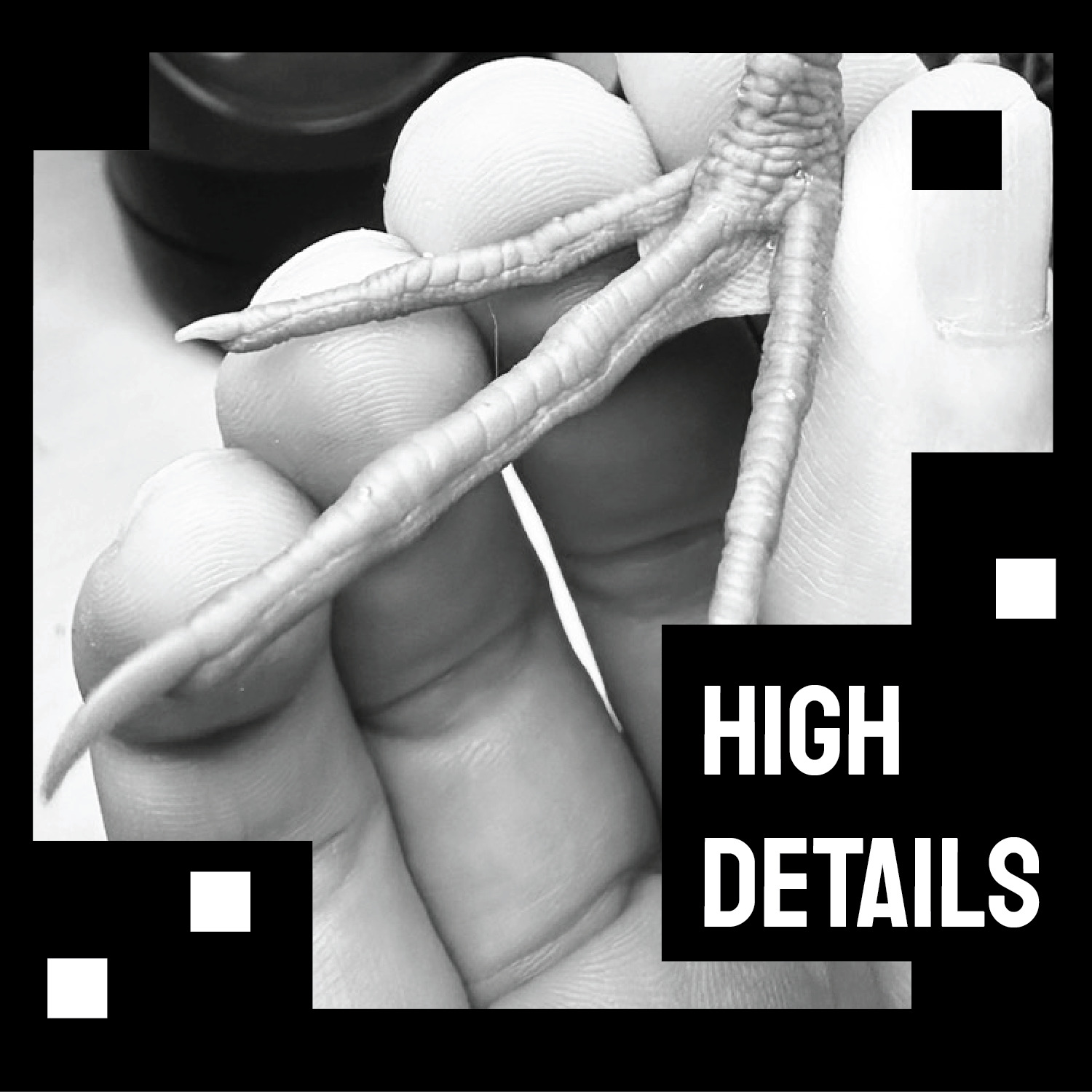 Night Heron Stand version 3D print model_2