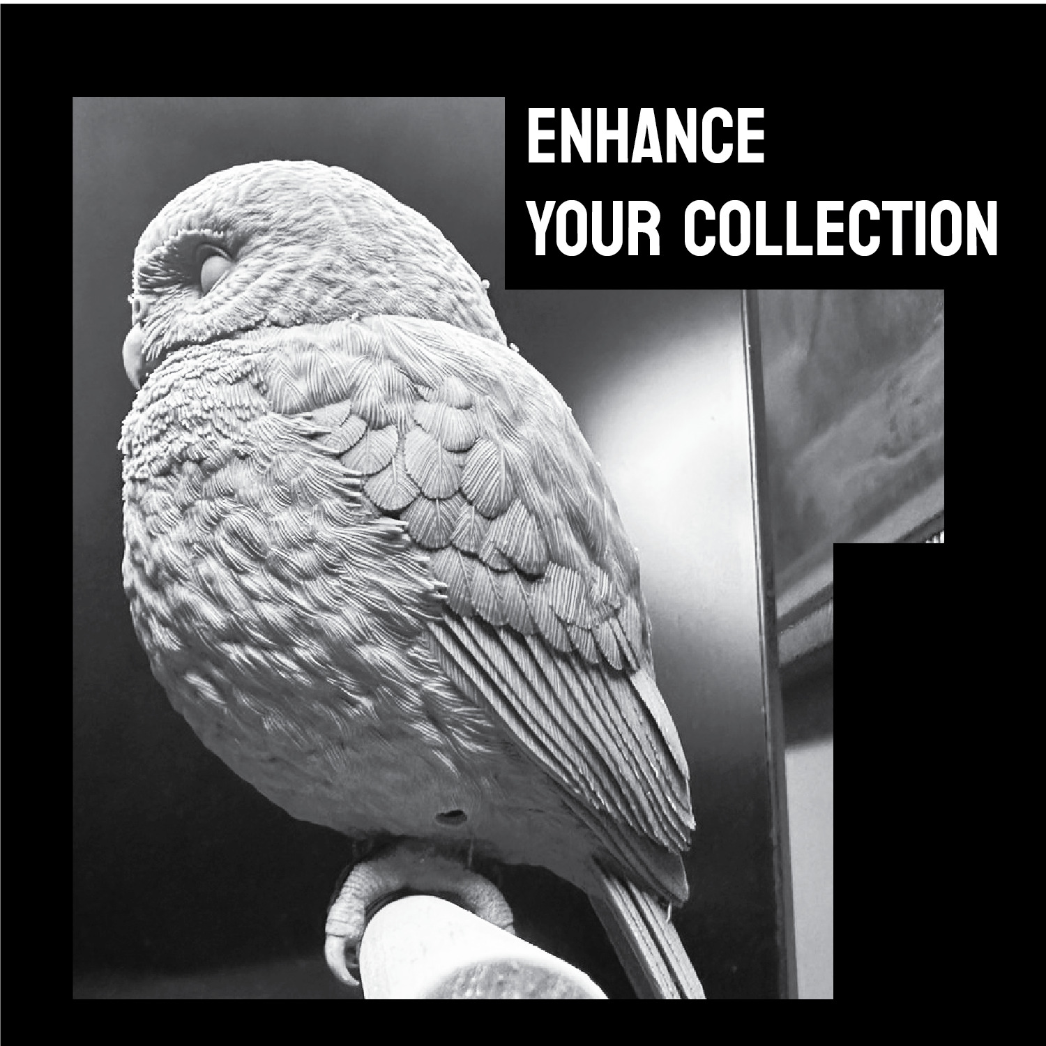 Owlet Stand version  3D print model_4