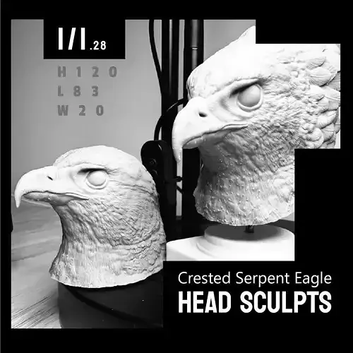 Crested Serpent Eagle Head Sculpts