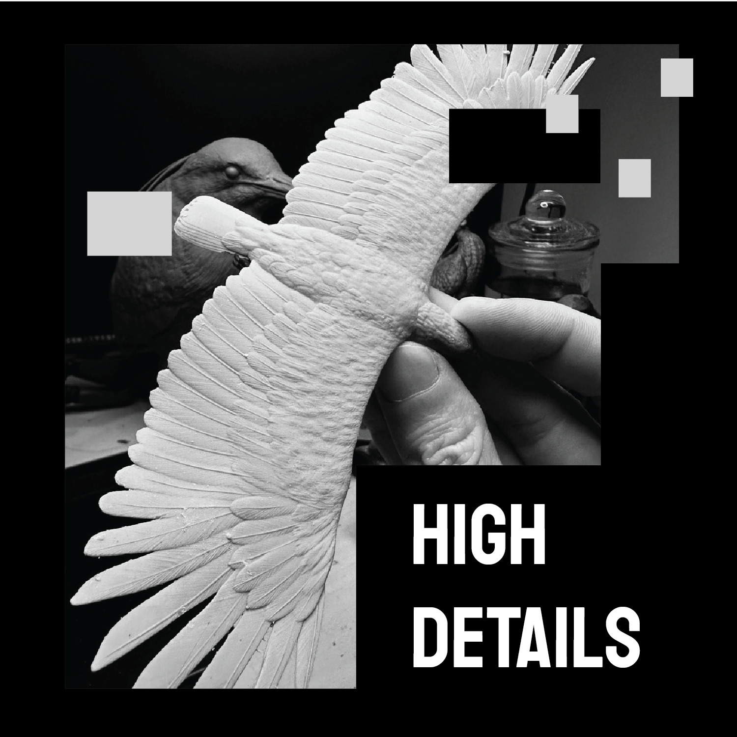 Crested Serpent Eagle Fly version  3D print model_1