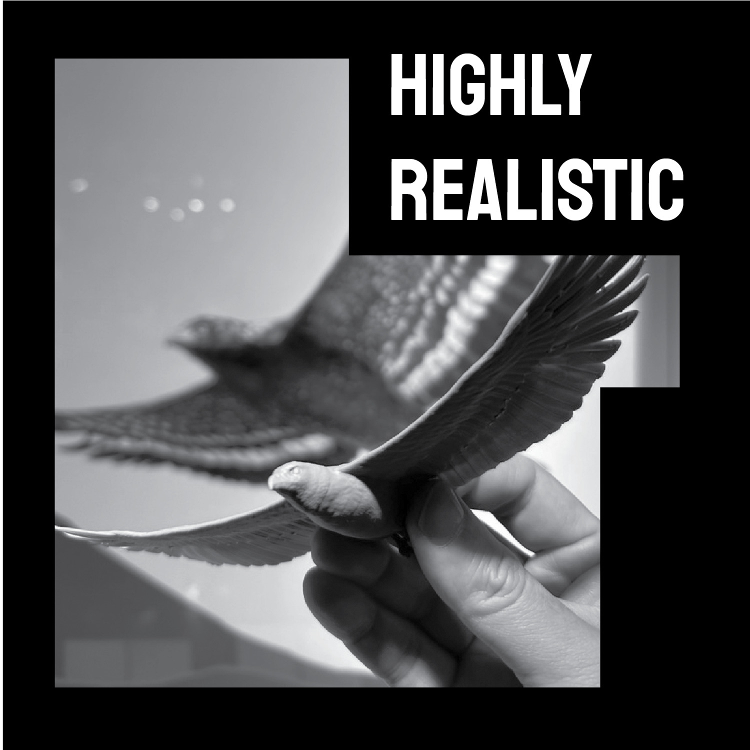 Crested Serpent Eagle Fly version  3D print model_2