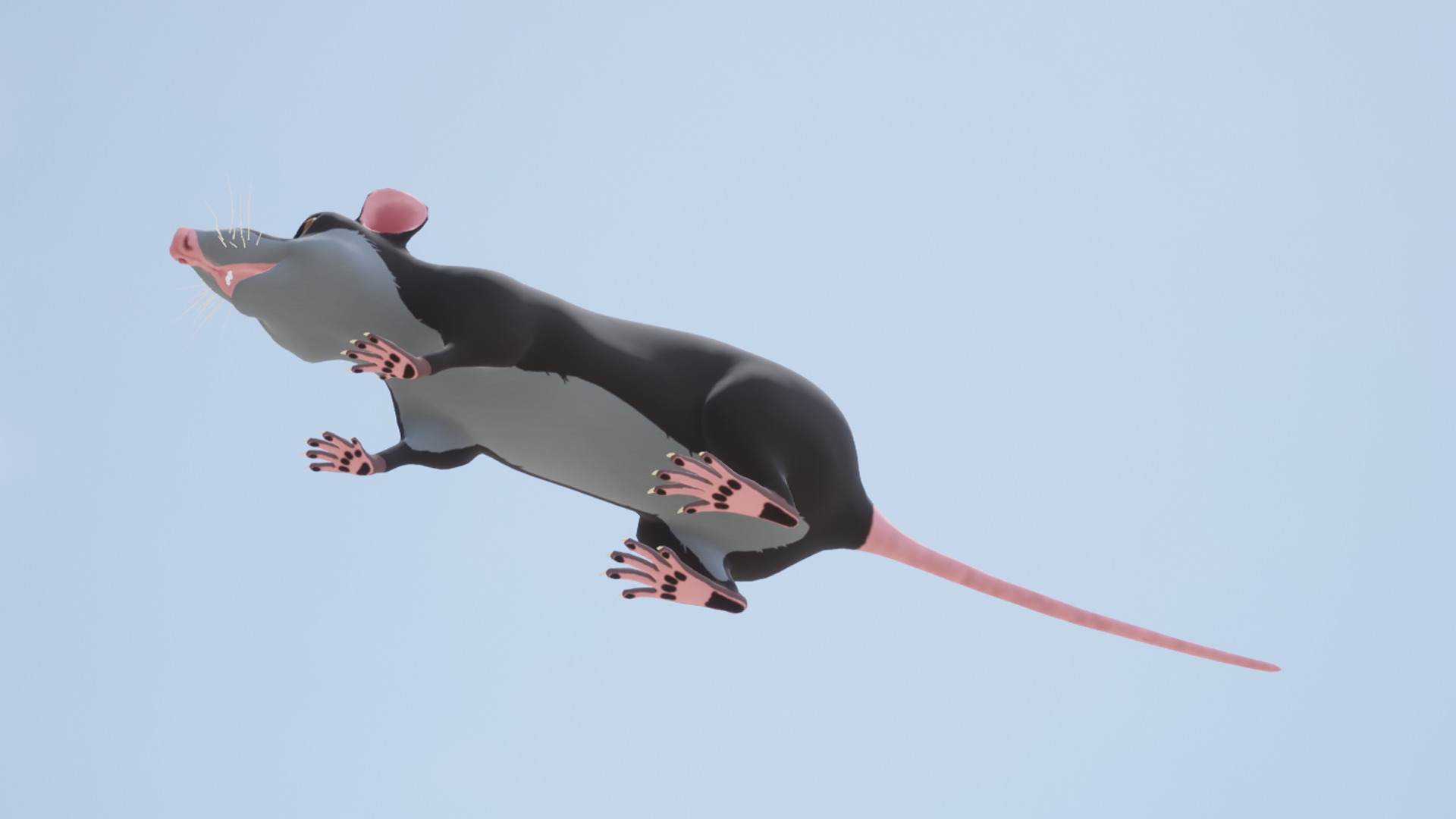 Cartoon Rat Low-poly 3D model_5