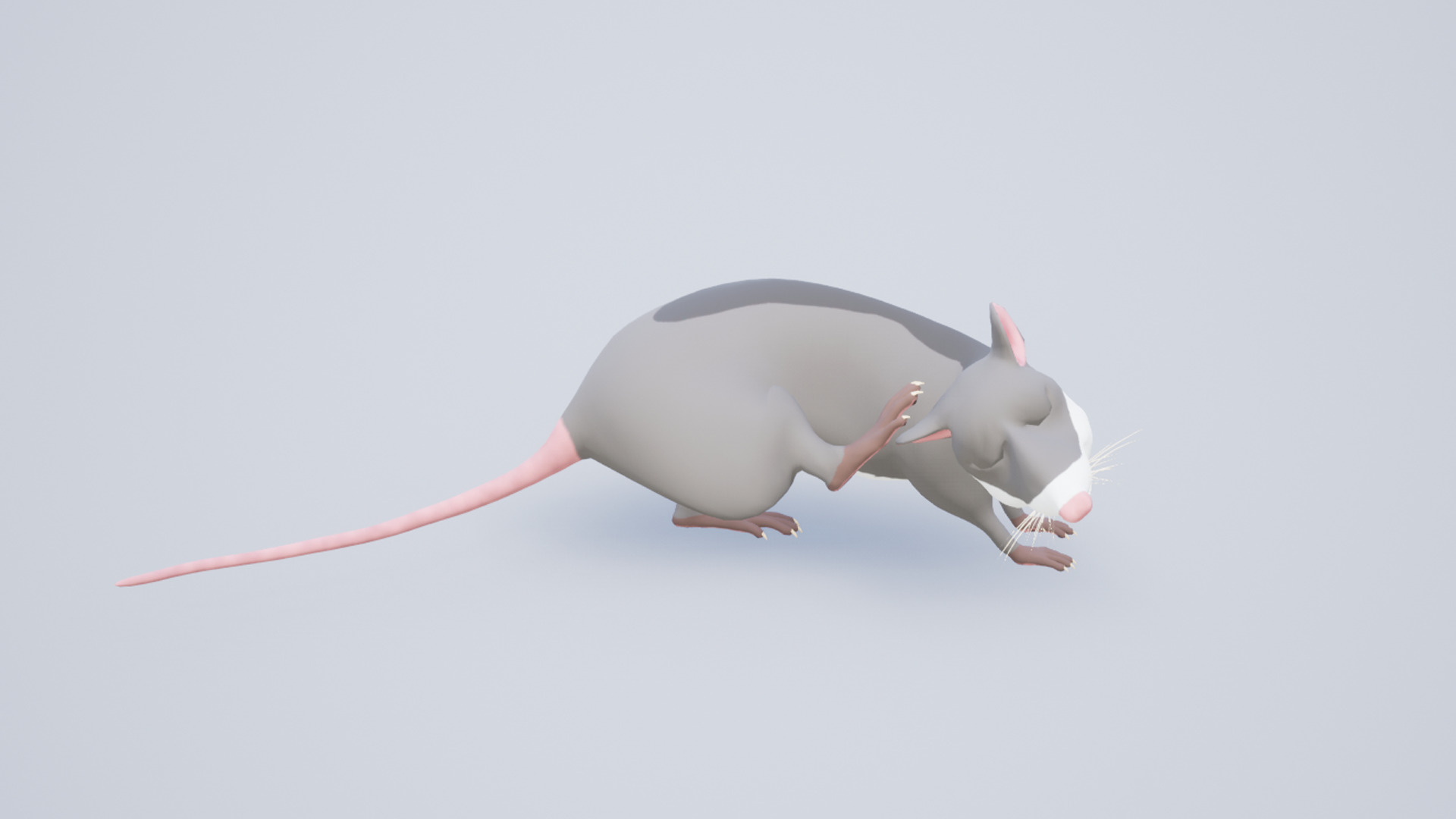 Cartoon Rat Low-poly 3D model_6