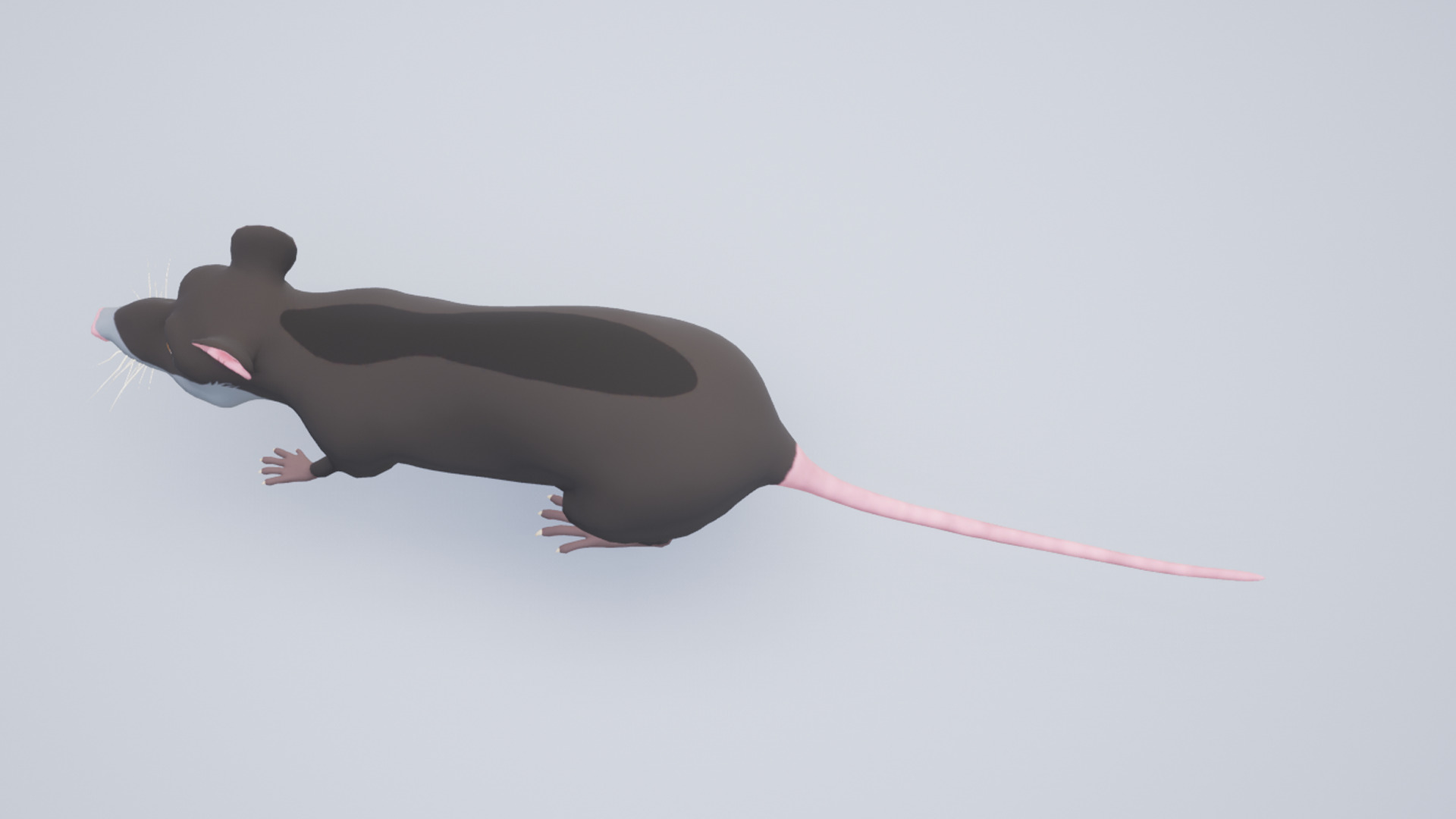 Cartoon Rat Low-poly 3D model_4