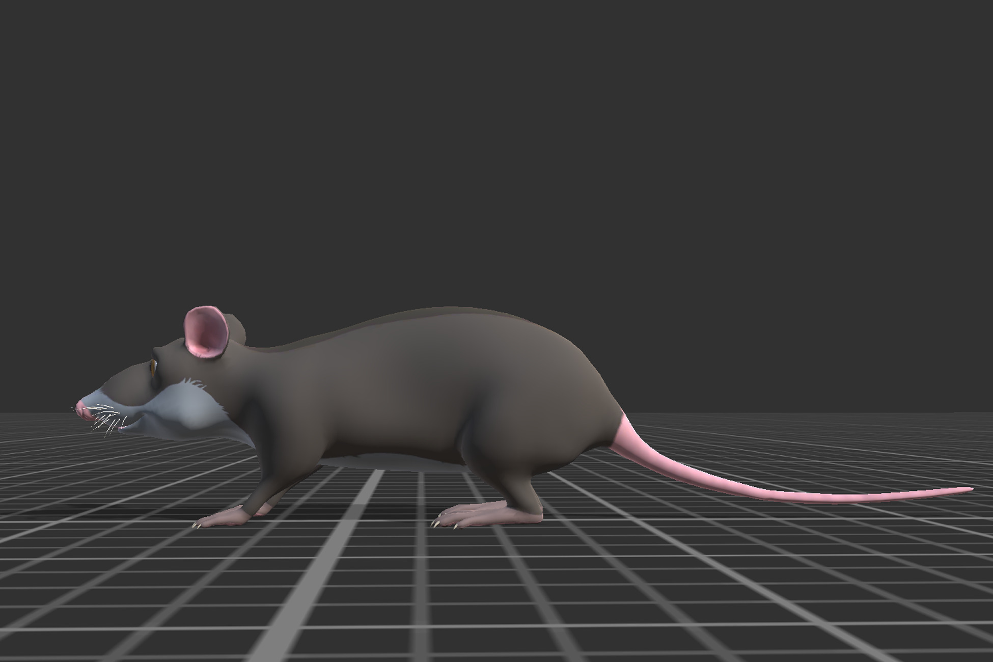 Cartoon Rat Low-poly 3D model_8