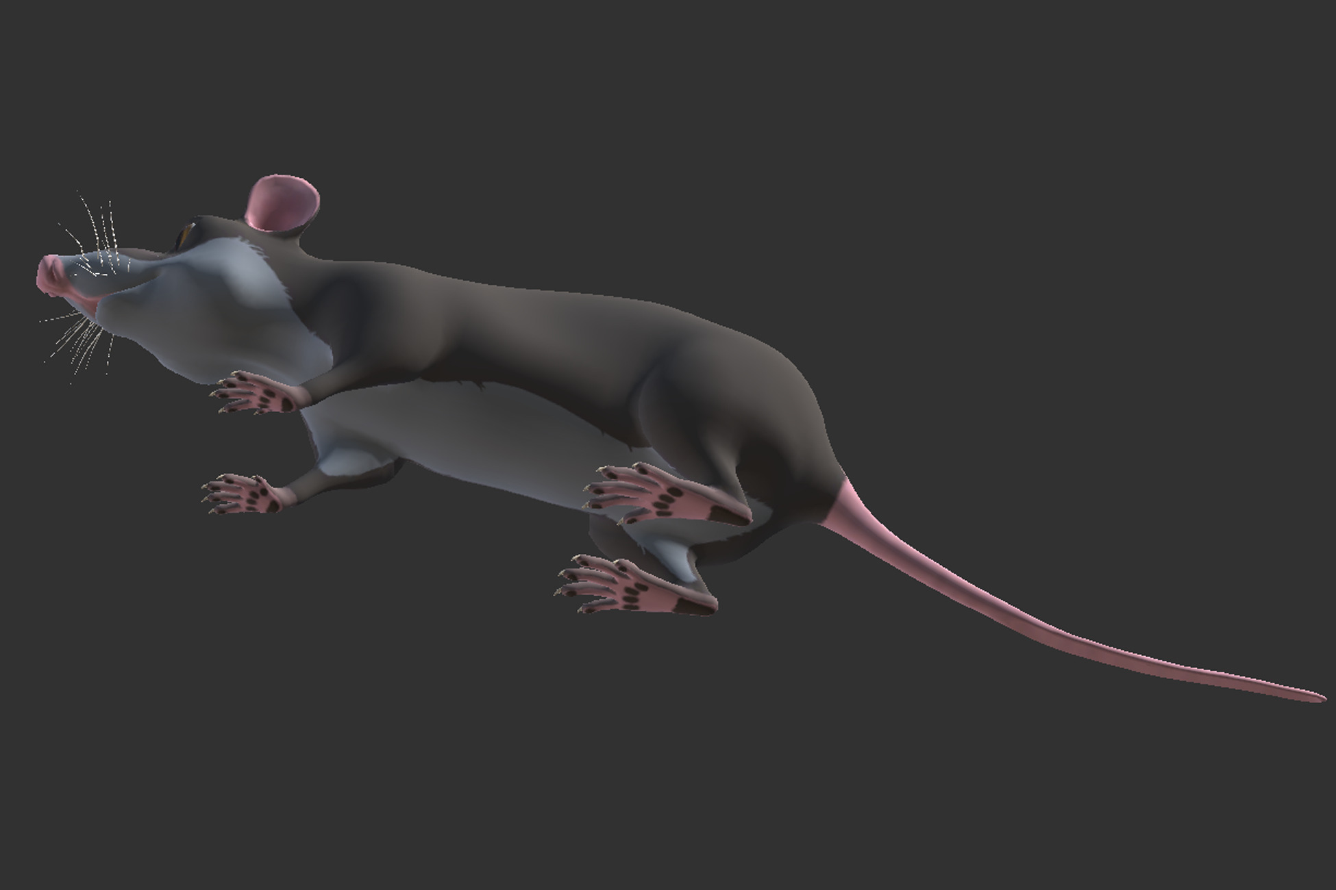 Cartoon Rat Low-poly 3D model_11