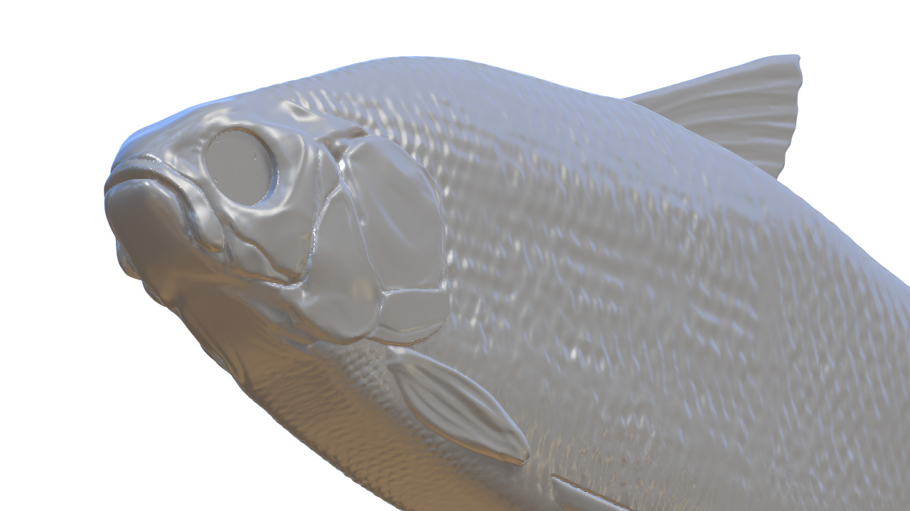 Realistic Fishinglure prototype for making molds 3D print model_2