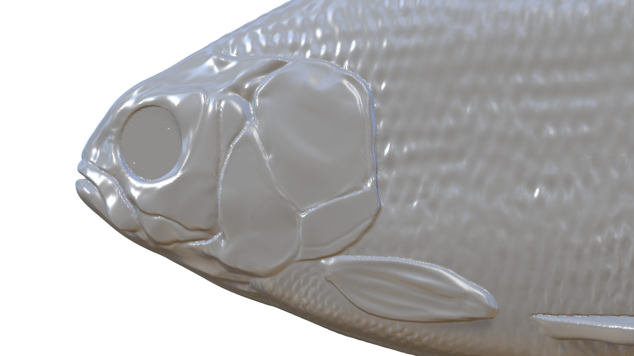 Realistic Fishinglure prototype for making molds 3D print model_1