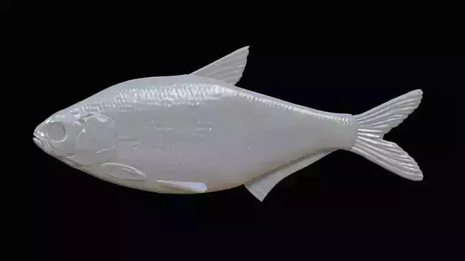 Realistic Fishinglure prototype for making molds