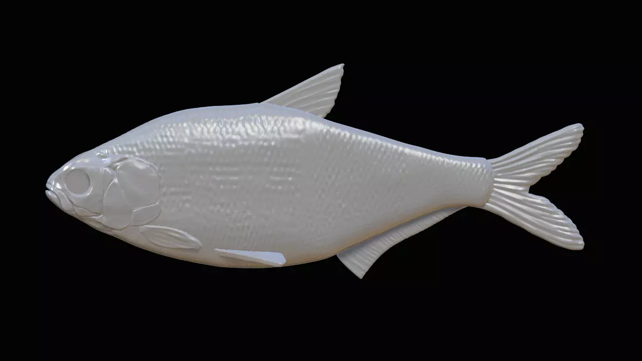 Realistic Fishinglure prototype for making molds 3D print model_0