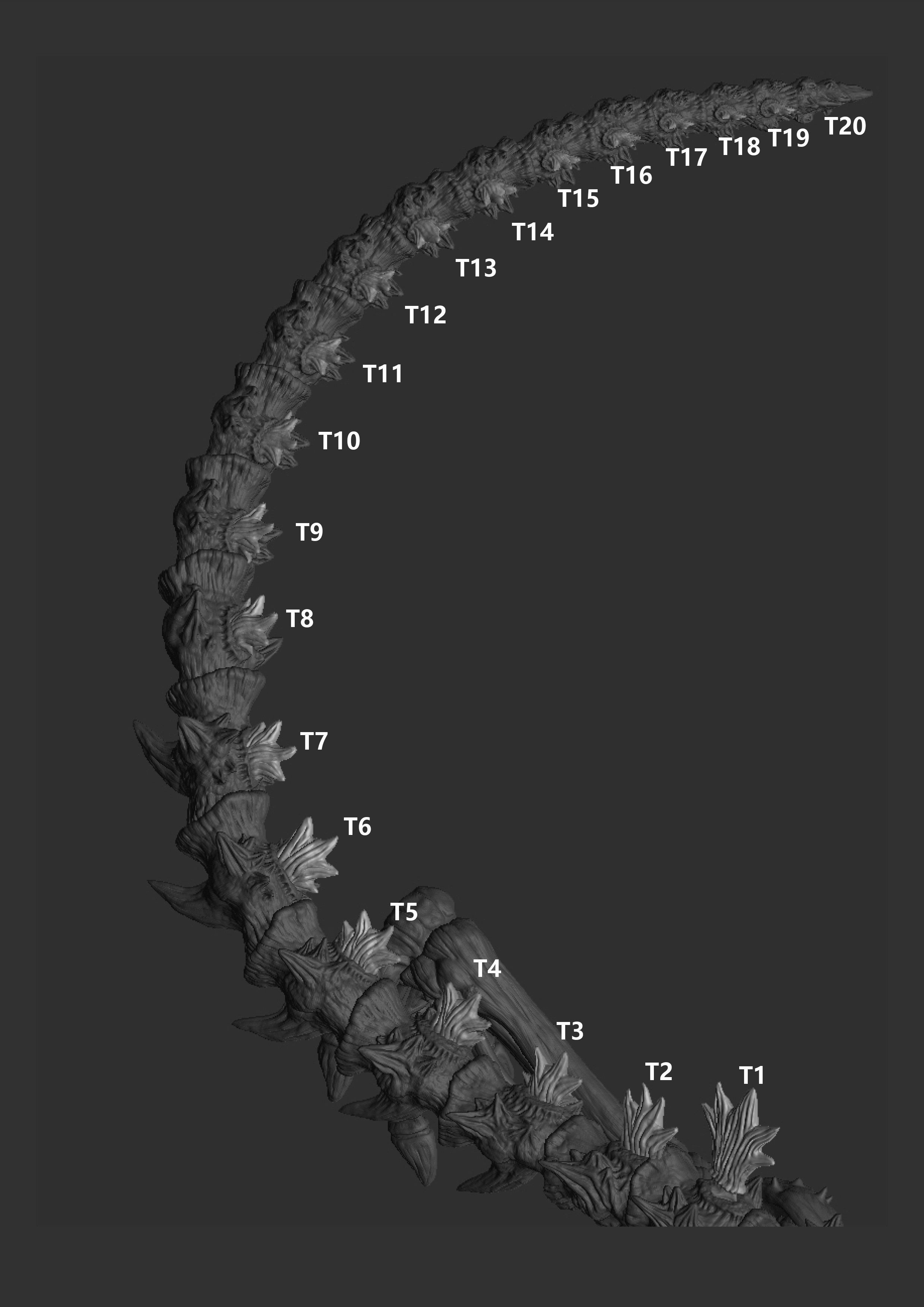 Godzilla skeleton 3D print model_8