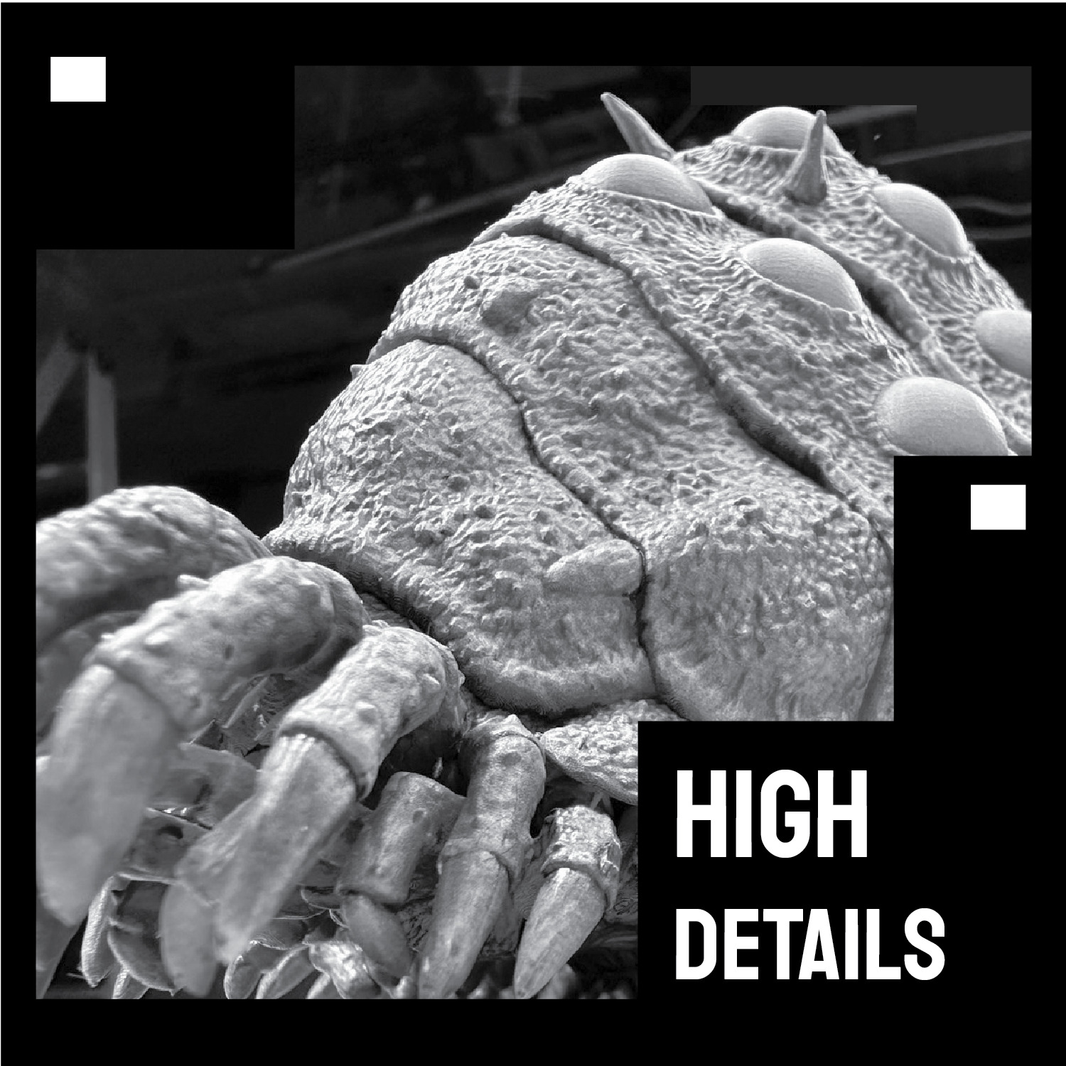 Nausicaa Ohmu 3D print model_2