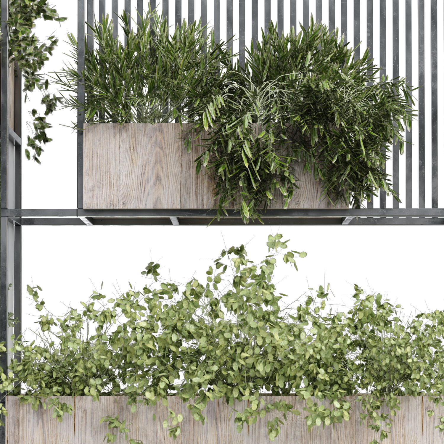 shelf and green vertical plant set 348 3D model_5