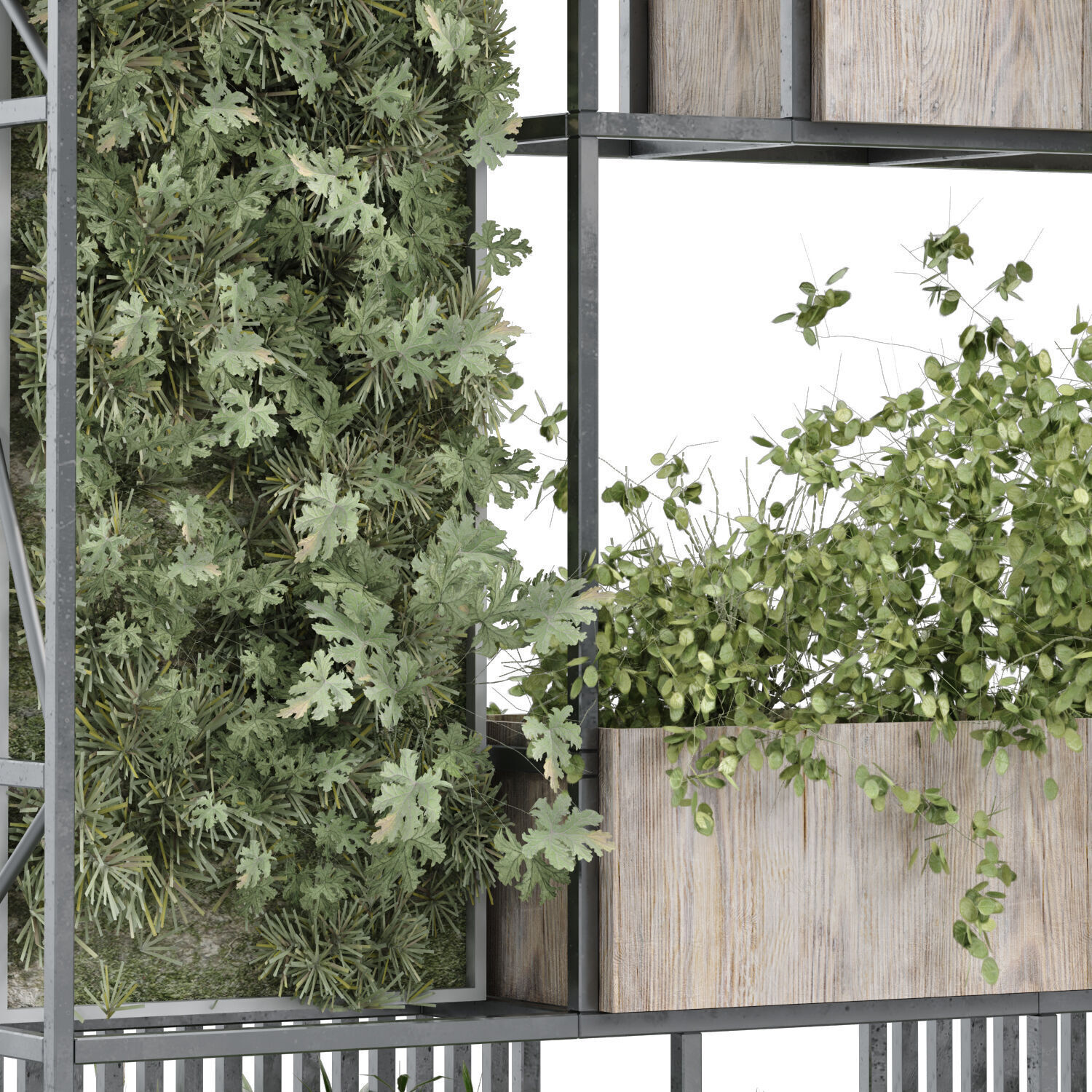 shelf and green vertical plant set 348 3D model_1