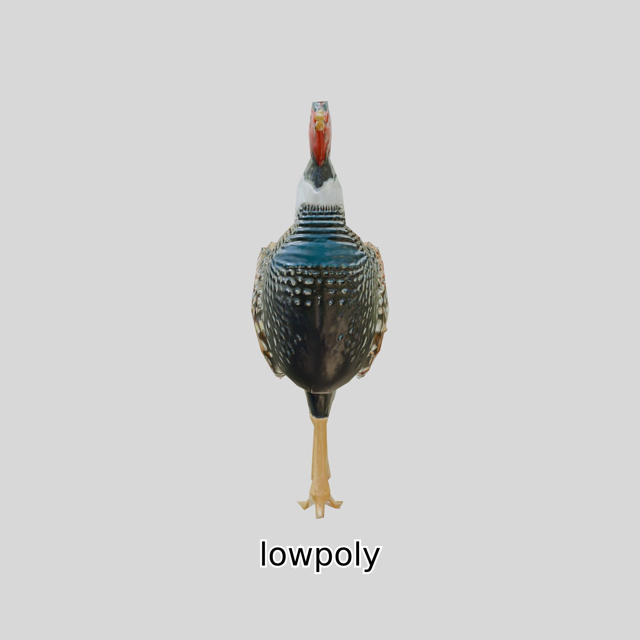 Realistic Pheasant Bird Model 3D with High-Quality Texture Low-poly 3D model_33