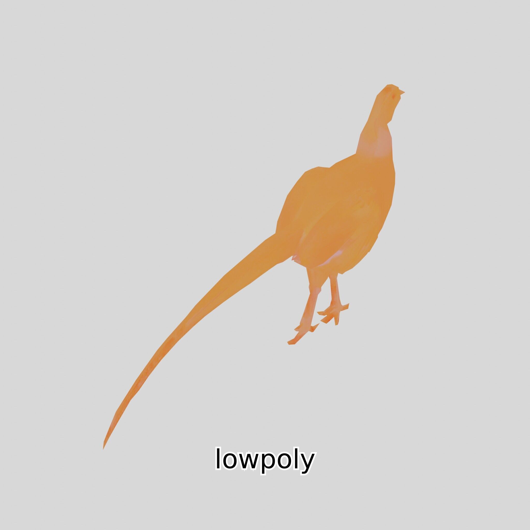 Realistic Pheasant Bird Model 3D with High-Quality Texture Low-poly 3D model_5