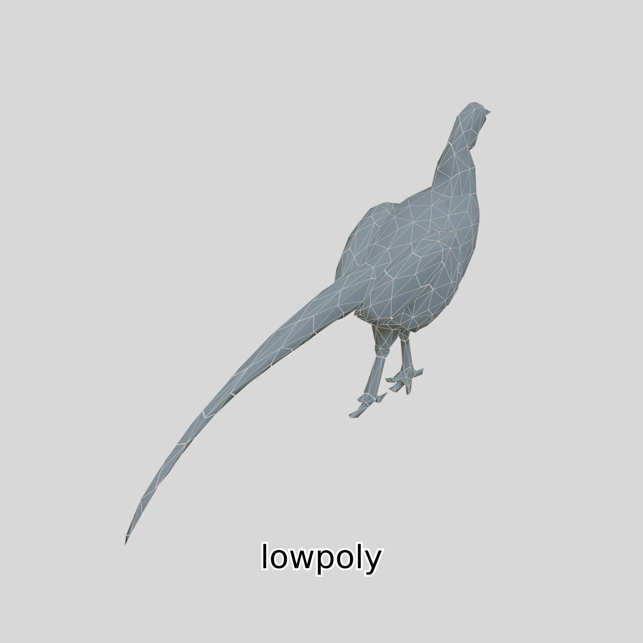 Realistic Pheasant Bird Model 3D with High-Quality Texture Low-poly 3D model_41