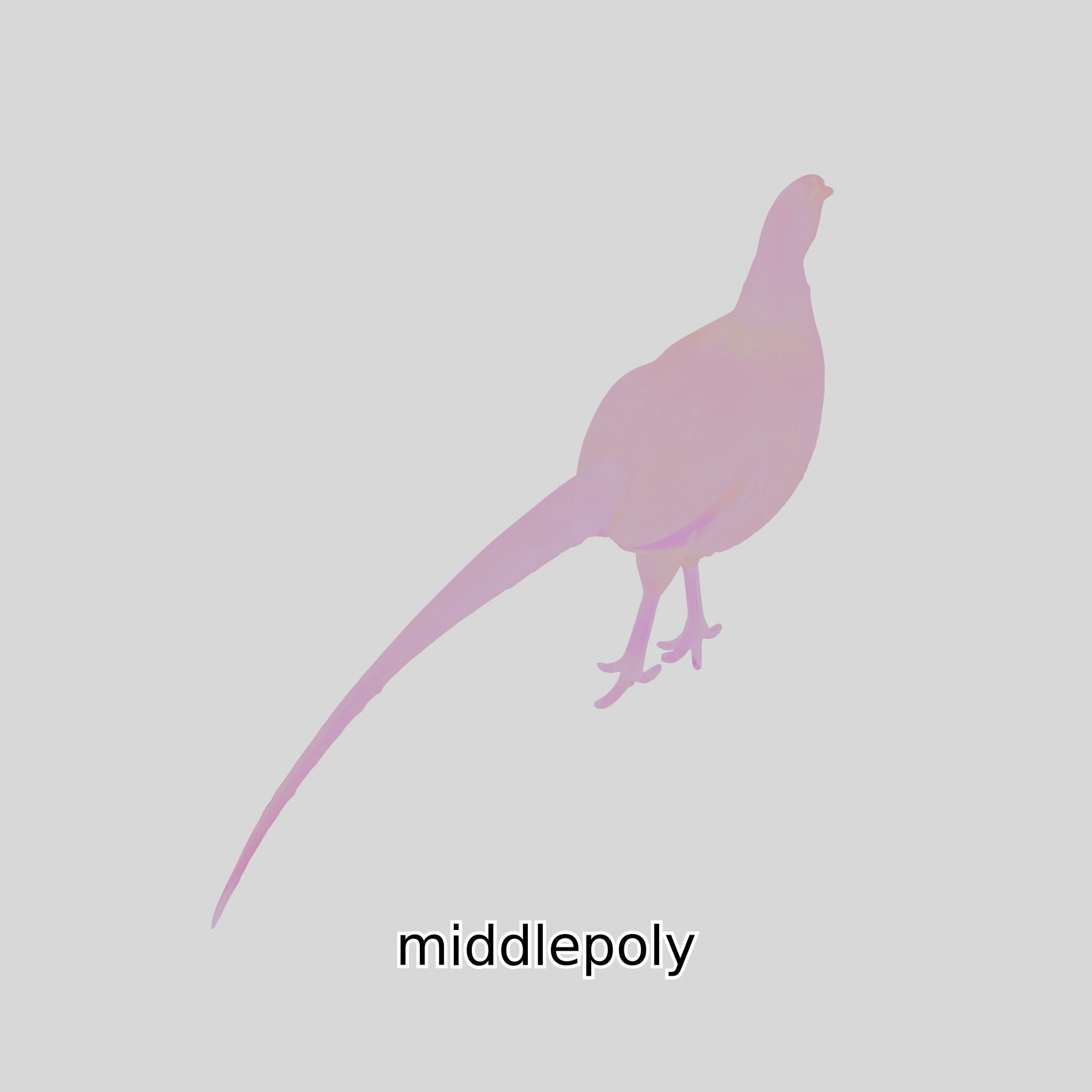 Realistic Pheasant Bird Model 3D with High-Quality Texture Low-poly 3D model_20