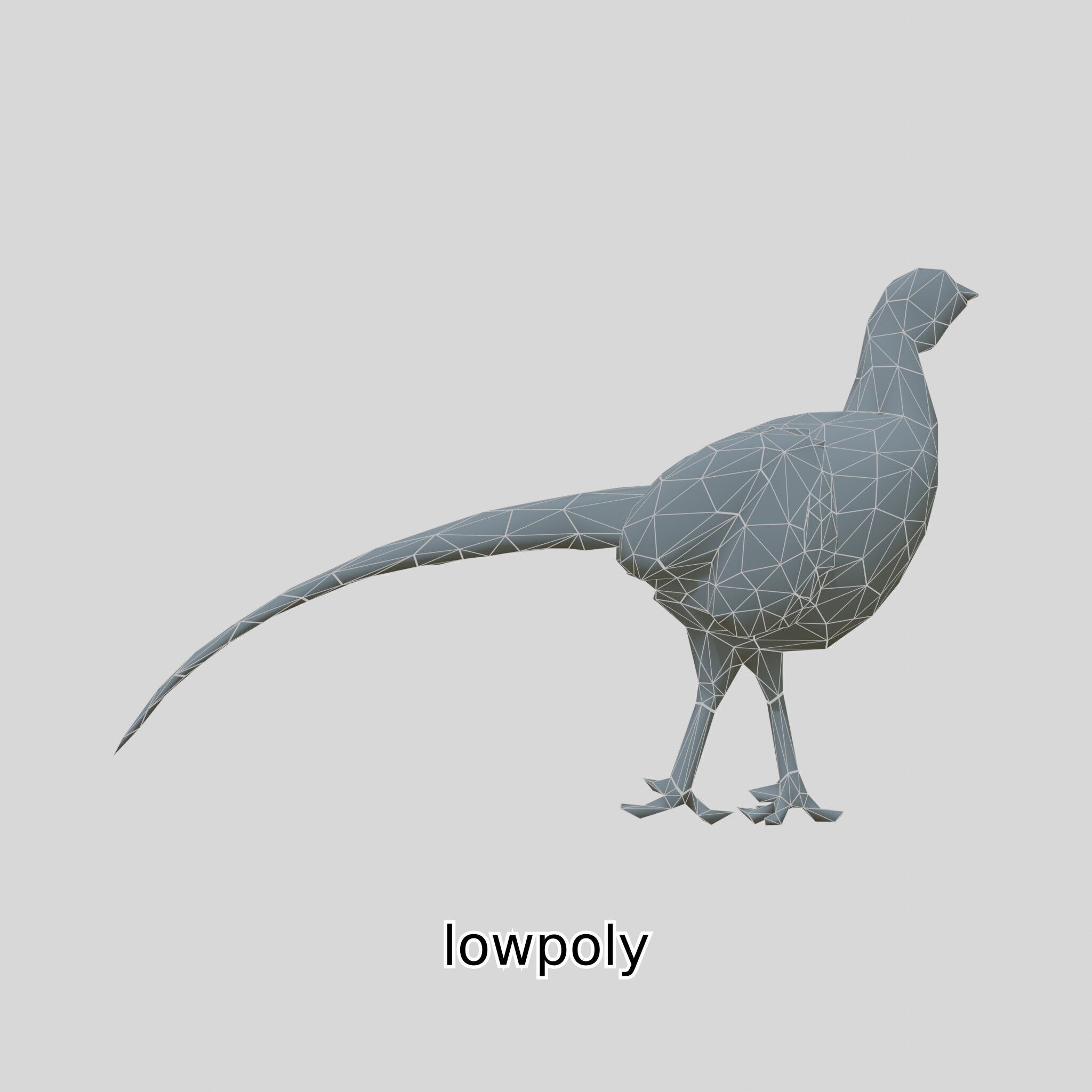 Realistic Pheasant Bird Model 3D with High-Quality Texture Low-poly 3D model_39