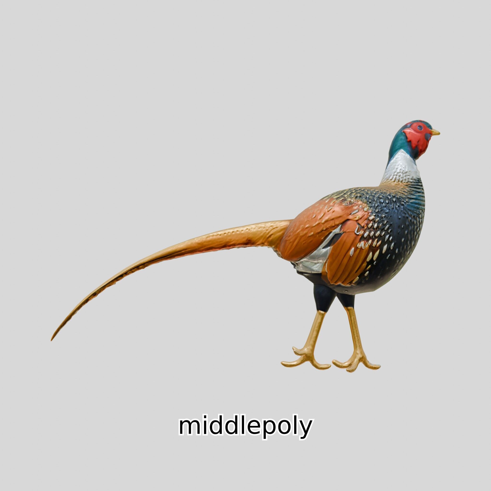 Realistic Pheasant Bird Model 3D with High-Quality Texture Low-poly 3D model_7