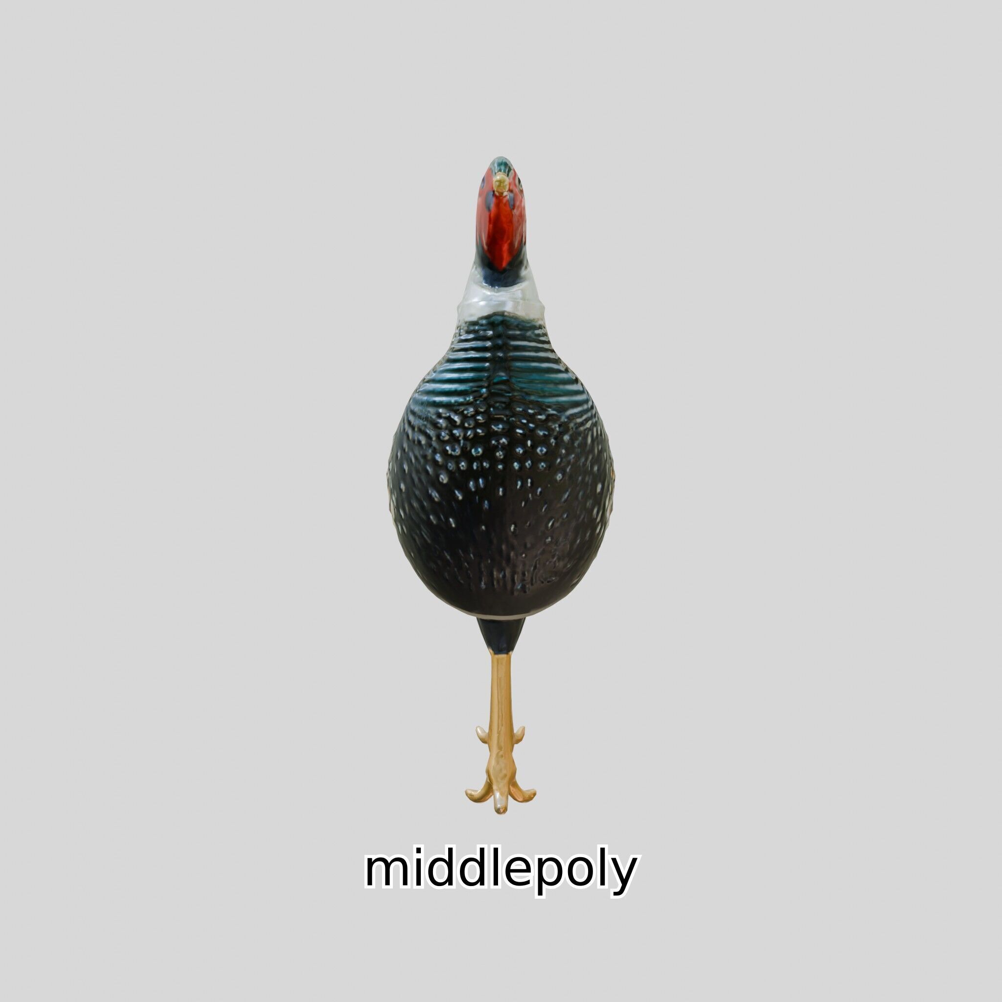 Realistic Pheasant Bird Model 3D with High-Quality Texture Low-poly 3D model_8