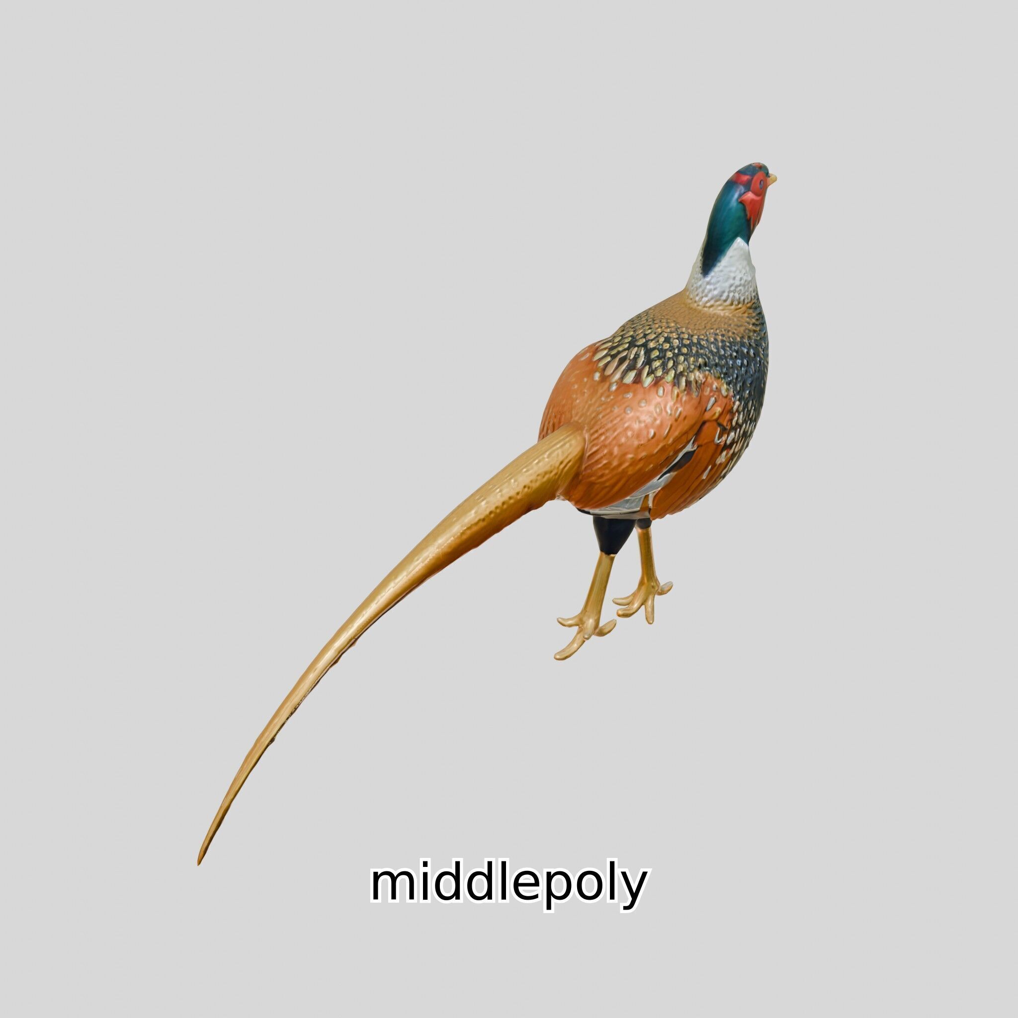 Realistic Pheasant Bird Model 3D with High-Quality Texture Low-poly 3D model_9