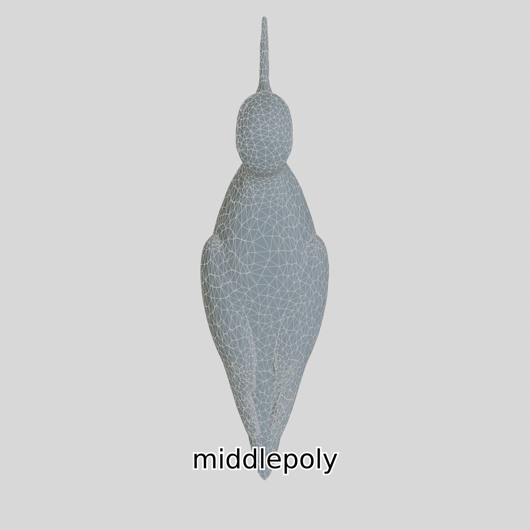 Realistic Painted-Snipe Bird 3D Model Low-poly 3D model_10