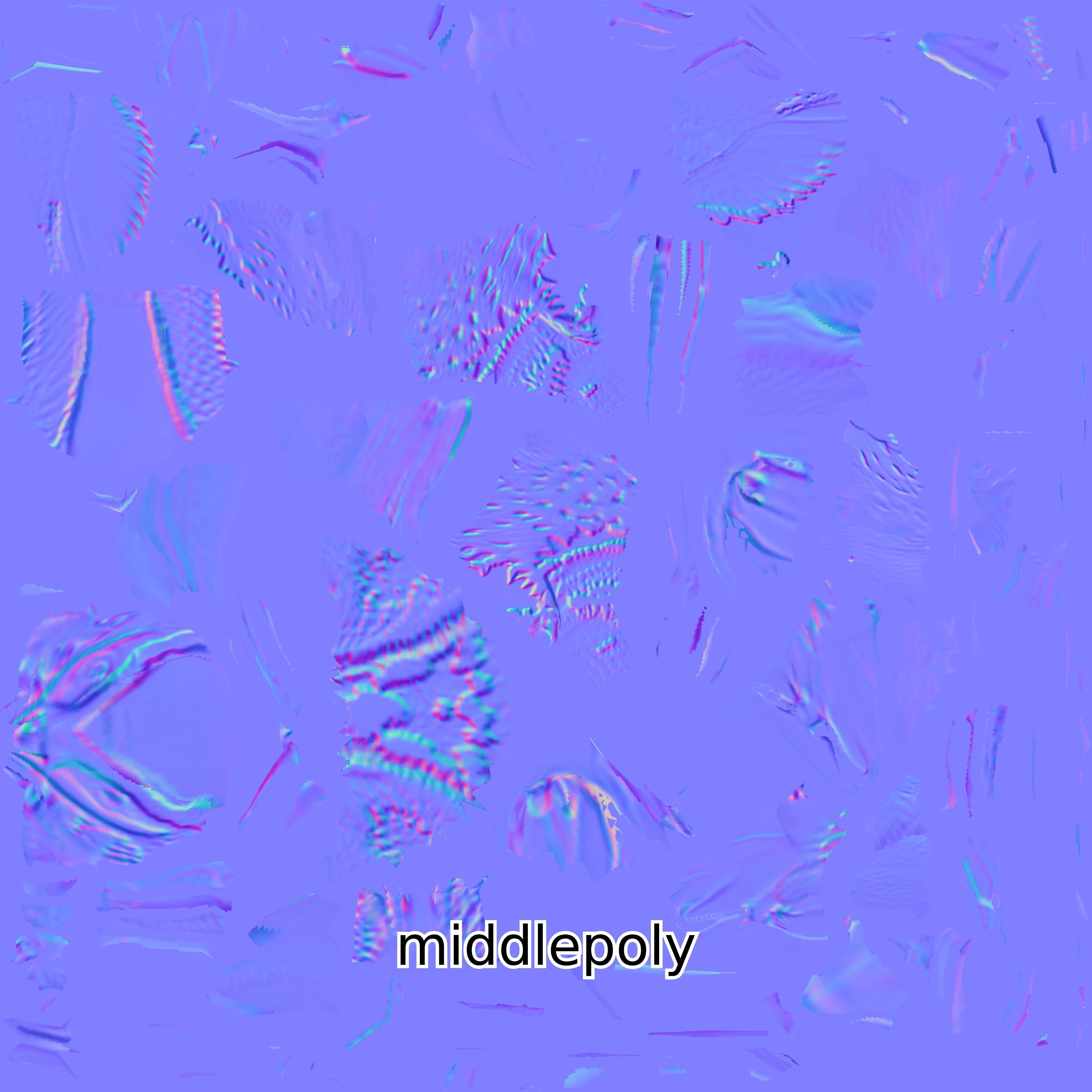 Realistic Painted-Snipe Bird 3D Model Low-poly 3D model_16