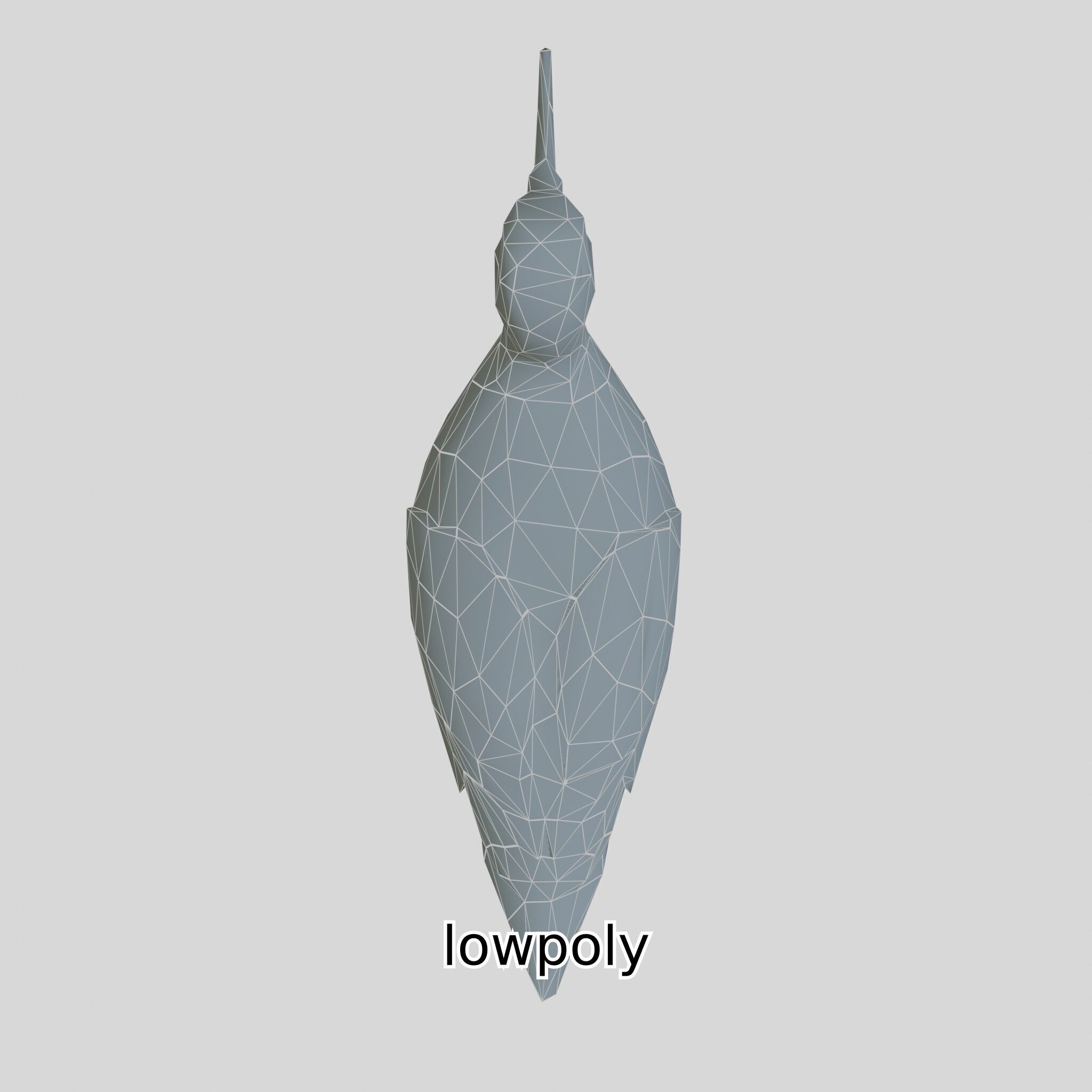 Realistic Painted-Snipe Bird 3D Model Low-poly 3D model_38