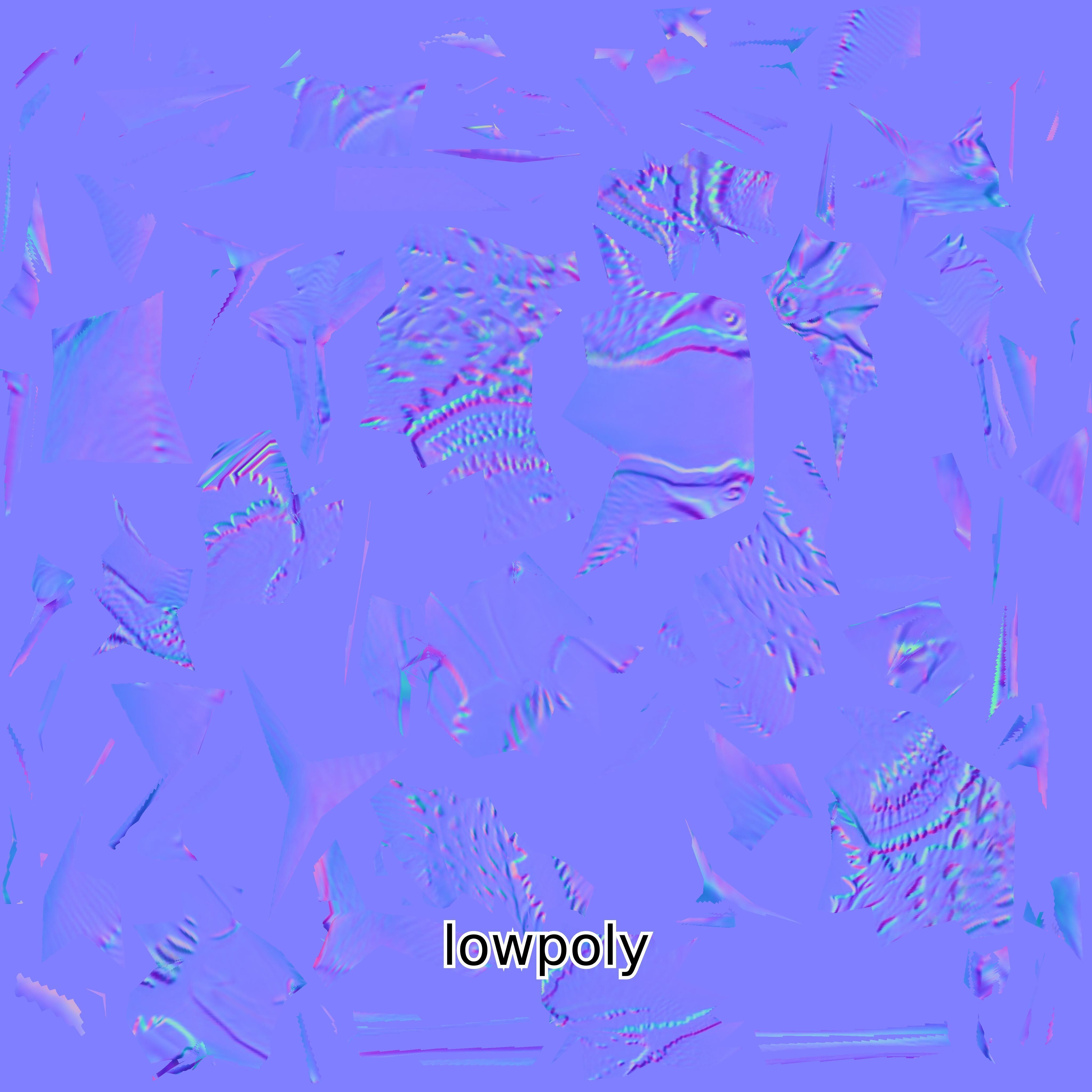 Realistic Painted-Snipe Bird 3D Model Low-poly 3D model_1