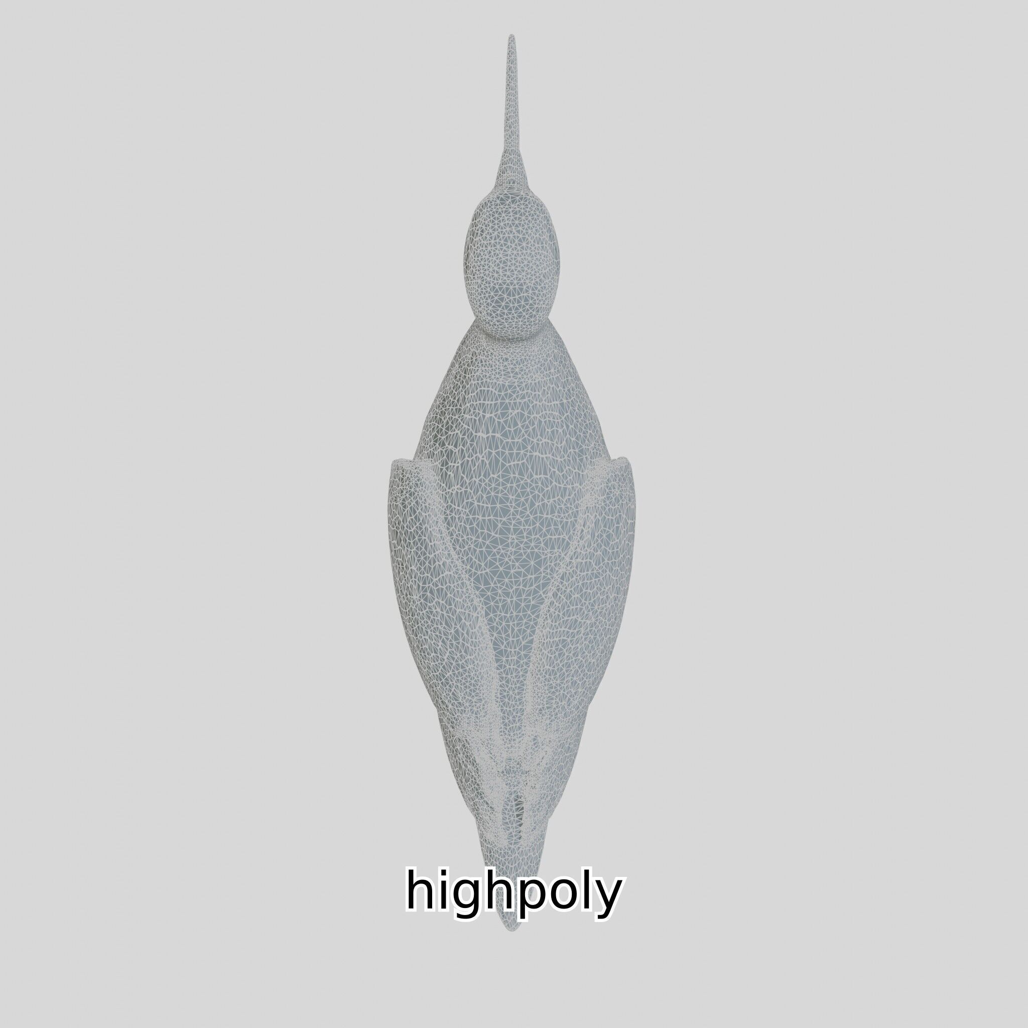 Realistic Painted-Snipe Bird 3D Model Low-poly 3D model_23