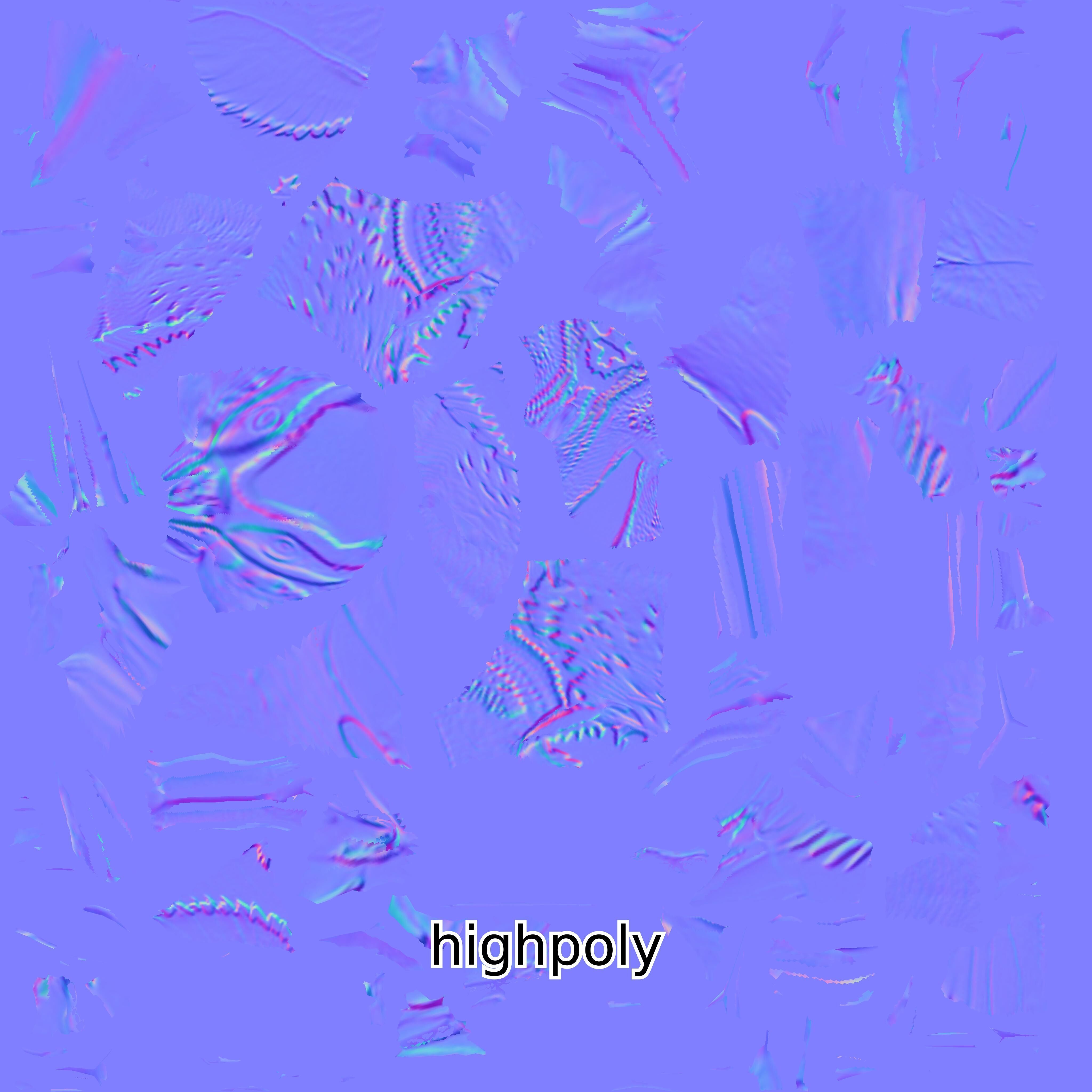 Realistic Painted-Snipe Bird 3D Model Low-poly 3D model_31