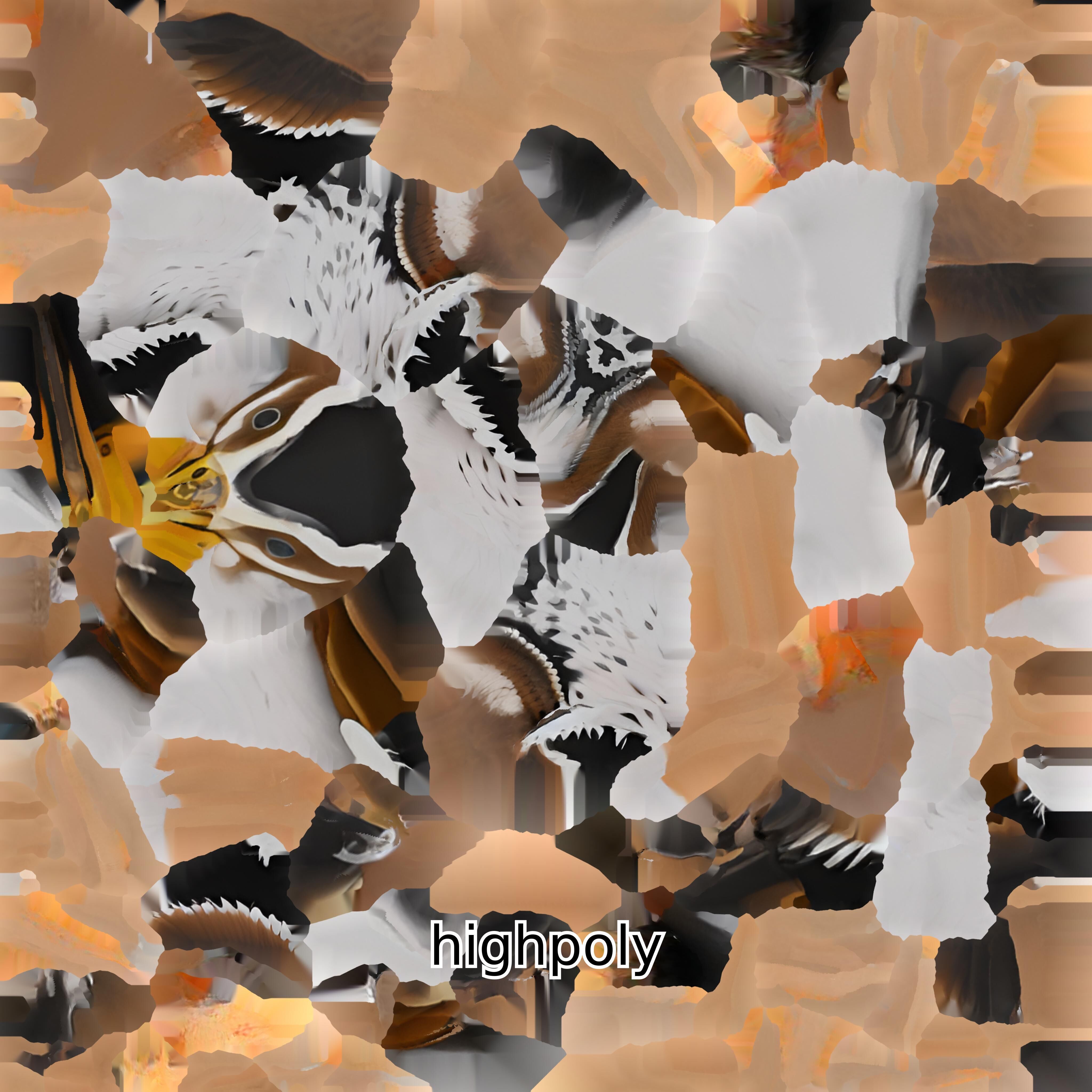 Realistic Painted-Snipe Bird 3D Model Low-poly 3D model_30