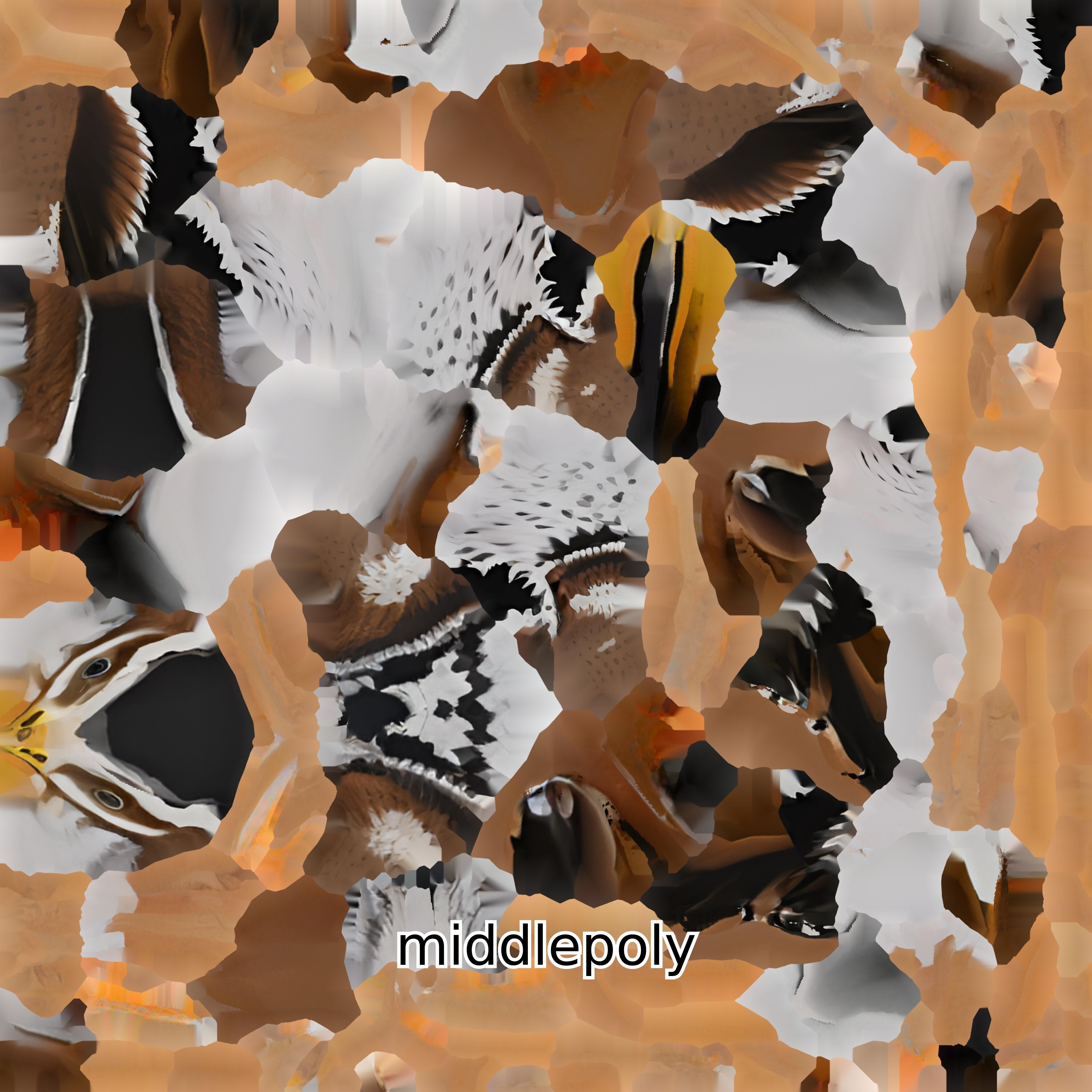 Realistic Painted-Snipe Bird 3D Model Low-poly 3D model_15