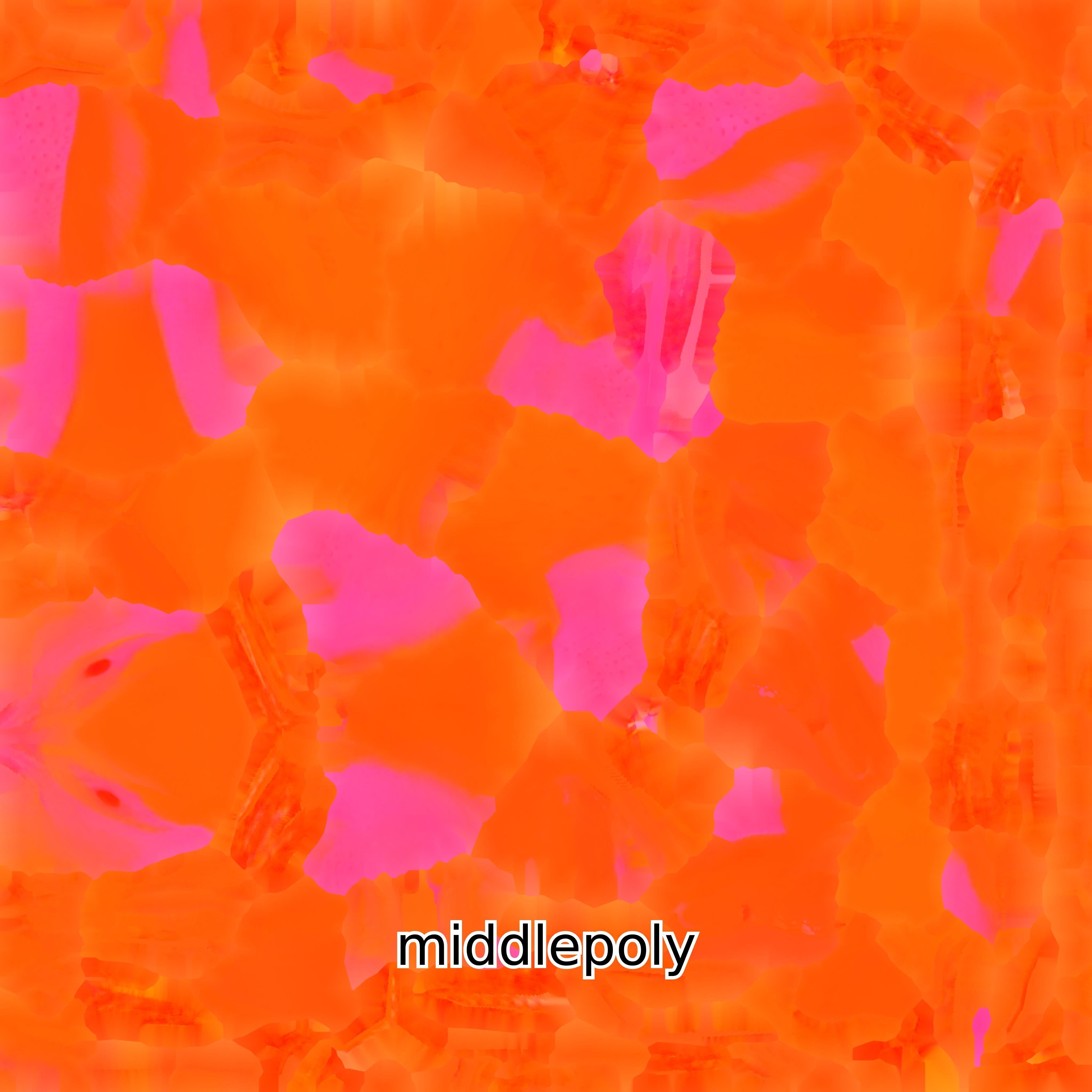 Realistic Painted-Snipe Bird 3D Model Low-poly 3D model_17