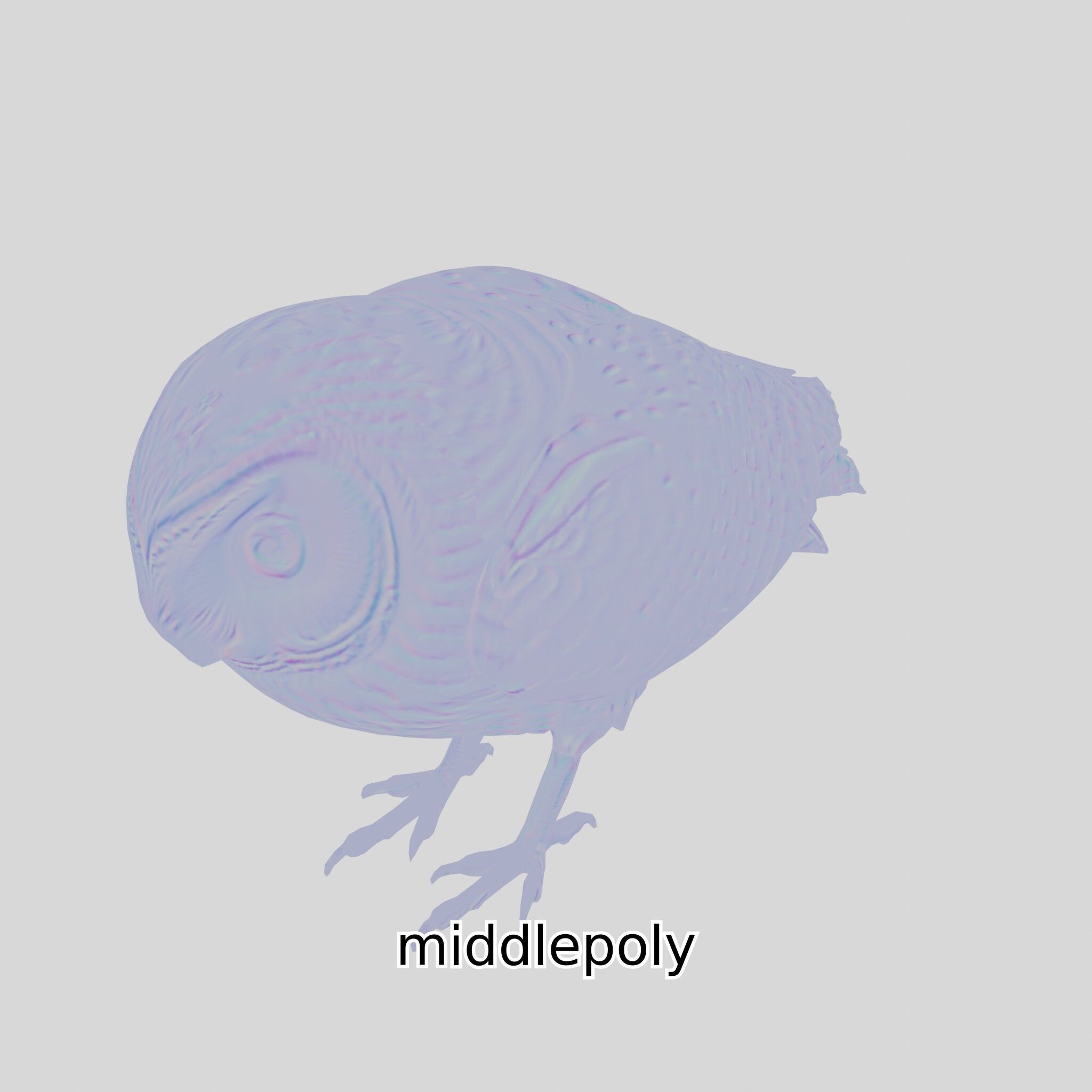 Realistic Owl Bird Model for Animation and Gaming Low-poly 3D model_19