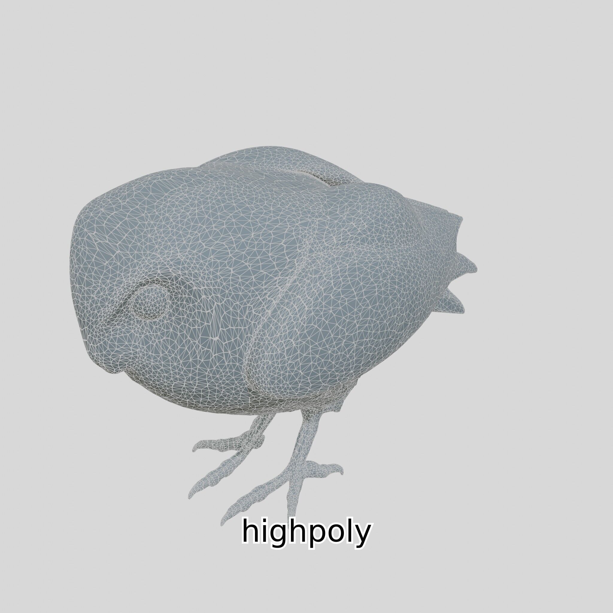 Realistic Owl Bird Model for Animation and Gaming Low-poly 3D model_29